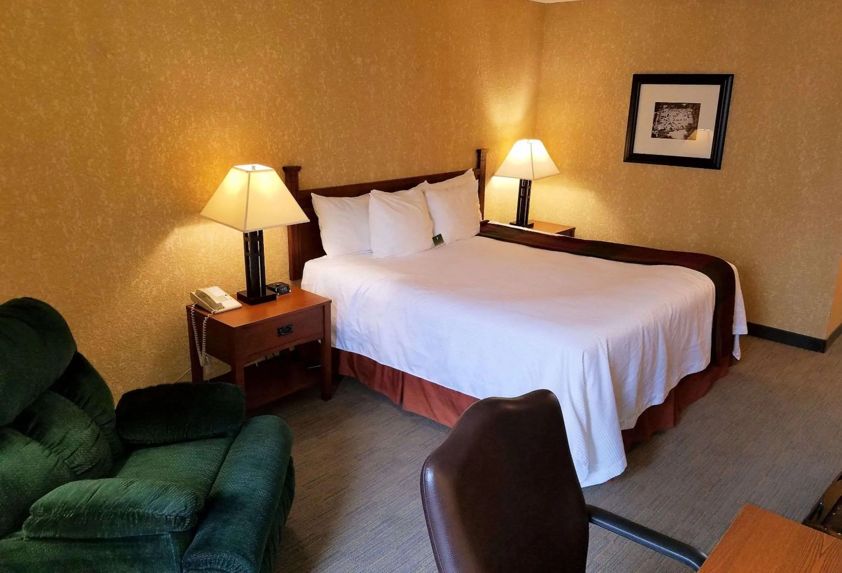 Queen Room with Roll-In Shower - Disability/Non-Smoking in Best Western Branson Inn and Conference Center