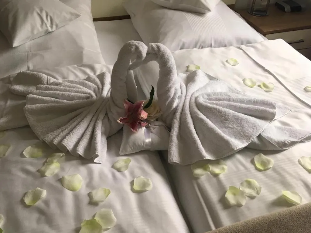 Apartment - single occupancy in Hotel am Hof