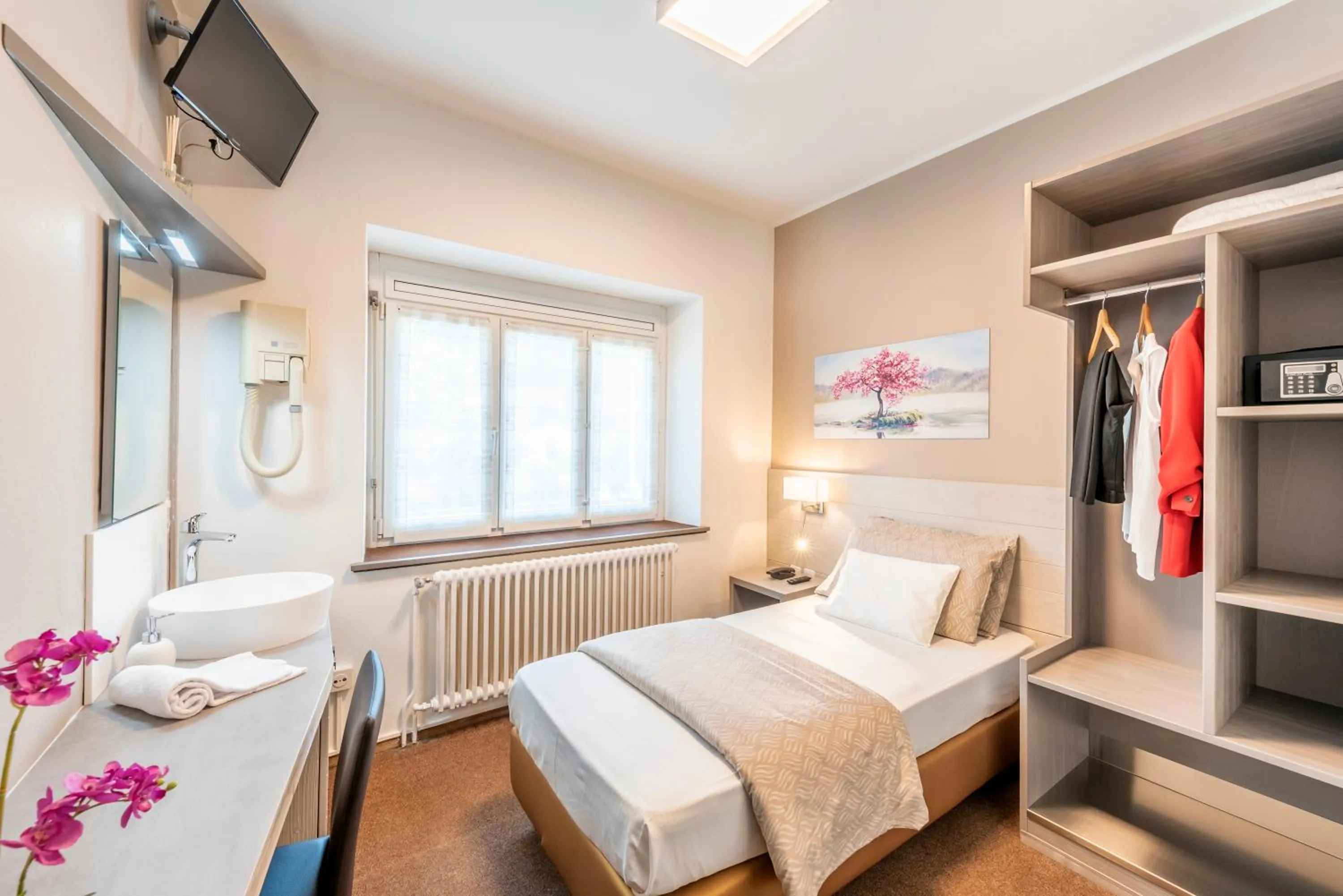 Single Room in Albergo Ristorante Svizzero