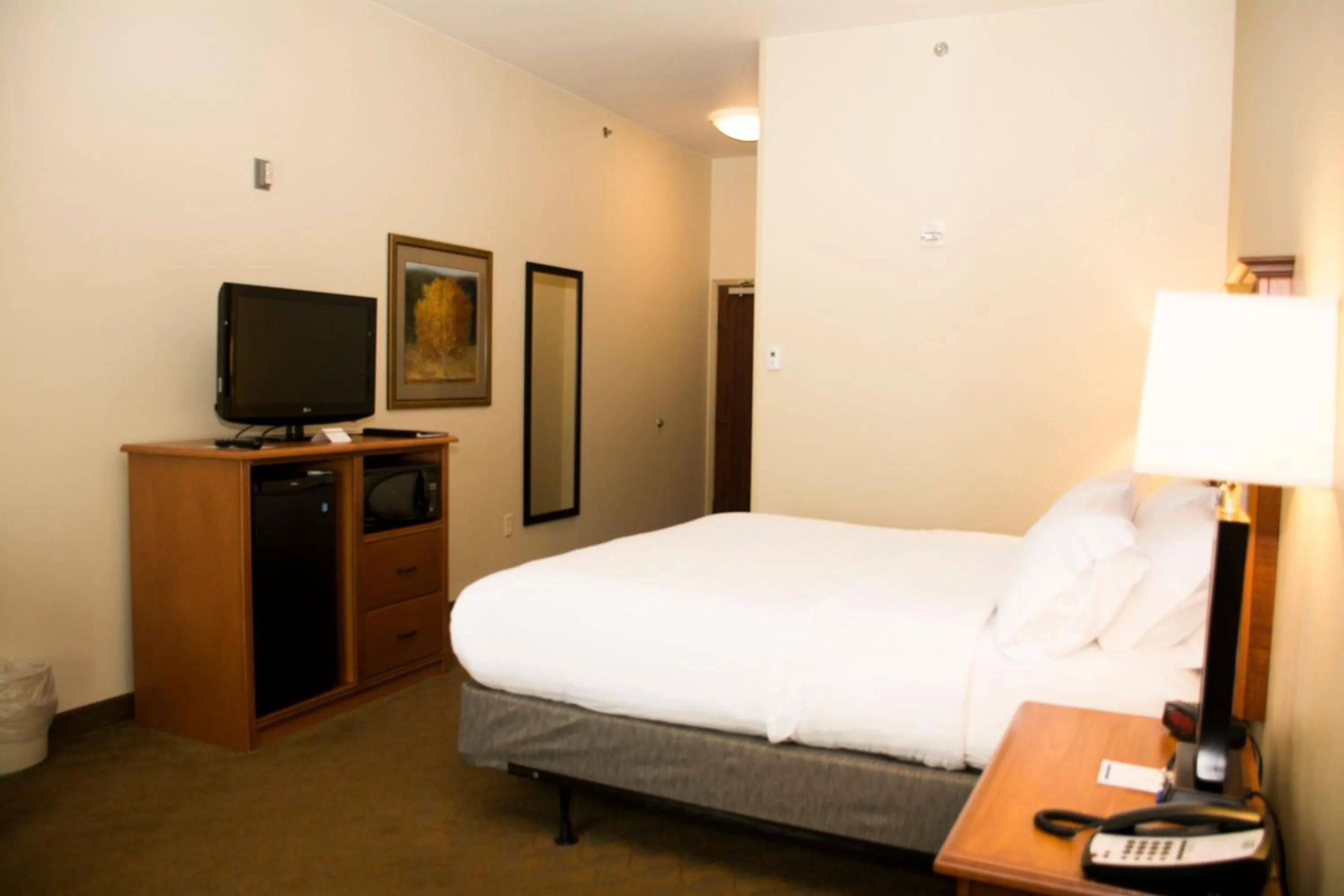 Standard King Room with Mobility Accessible Roll-In Shower in Holiday Inn Express & Suites - Mason City by IHG