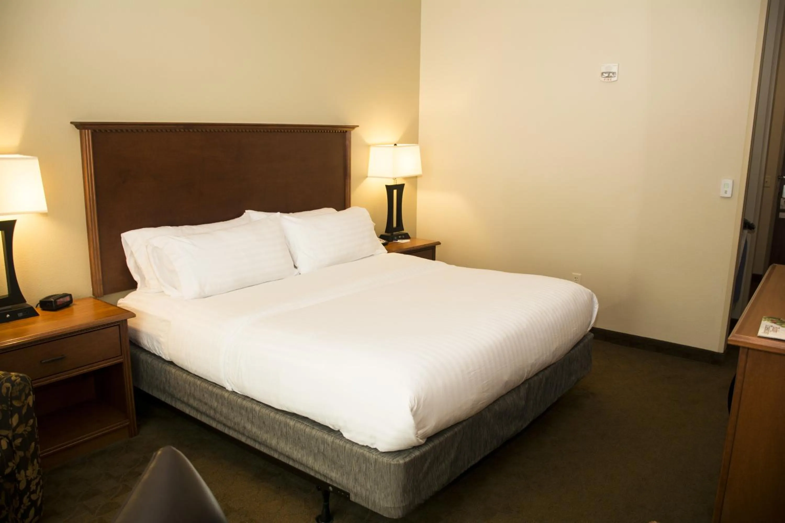 Standard King Room in Holiday Inn Express & Suites - Mason City by IHG