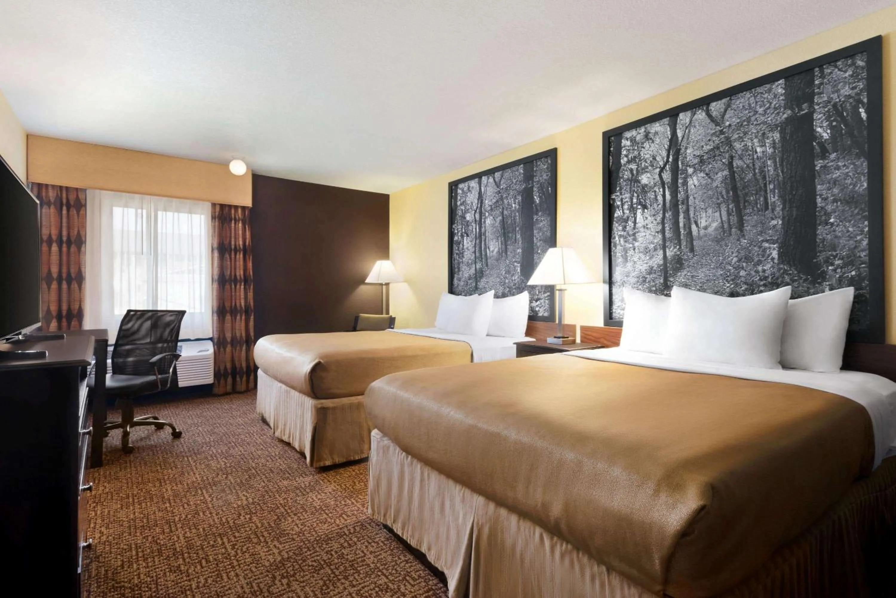 Deluxe Queen Room with Two Queen Beds - Non-Smoking in Super 8 by Wyndham Des Moines