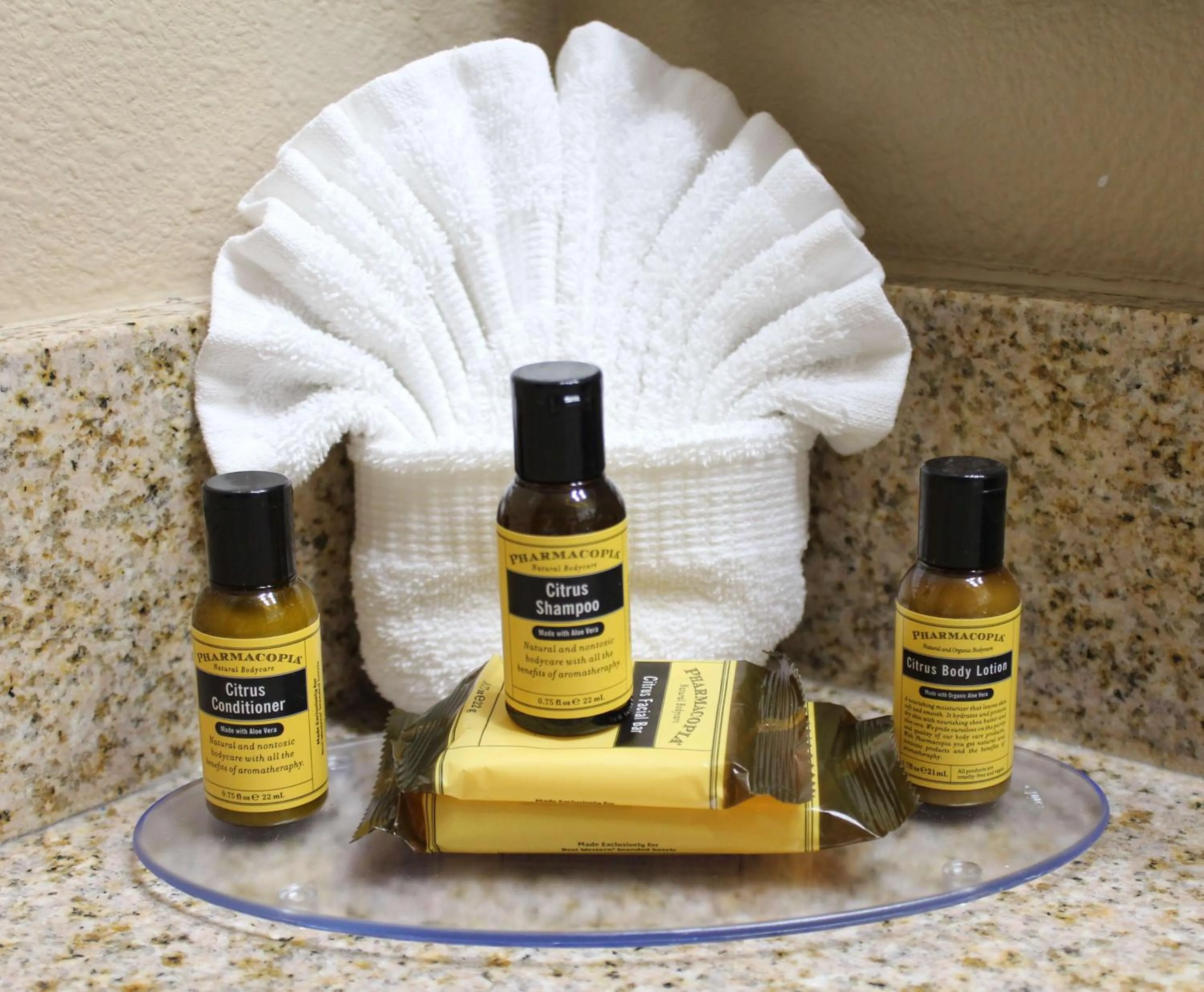 King Suite with Hot Tub and Fireplace - Non-Smoking in Best Western Plus Port of Camas-Washougal Convention Center