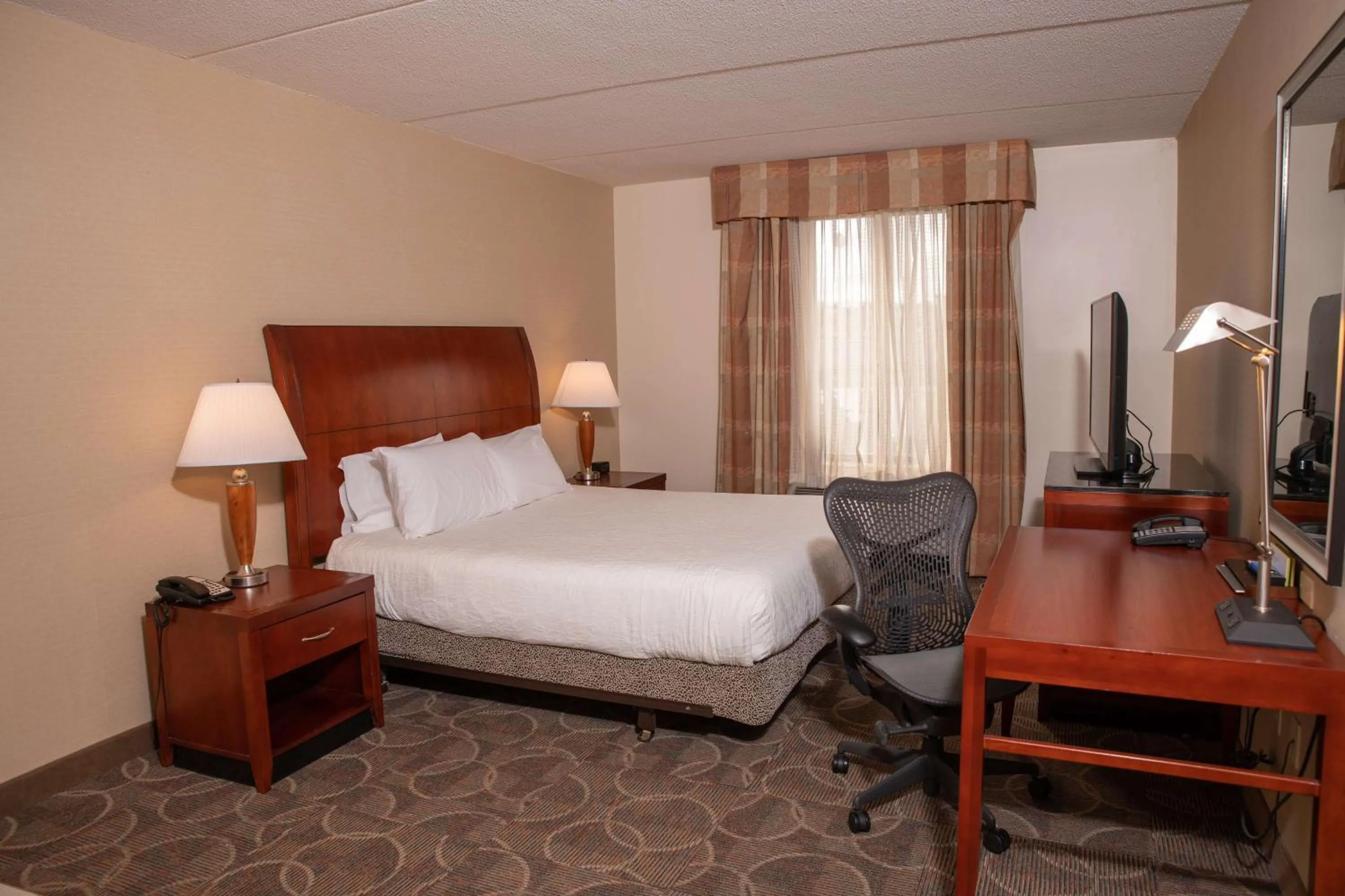 King Room in Hilton Garden Inn Erie