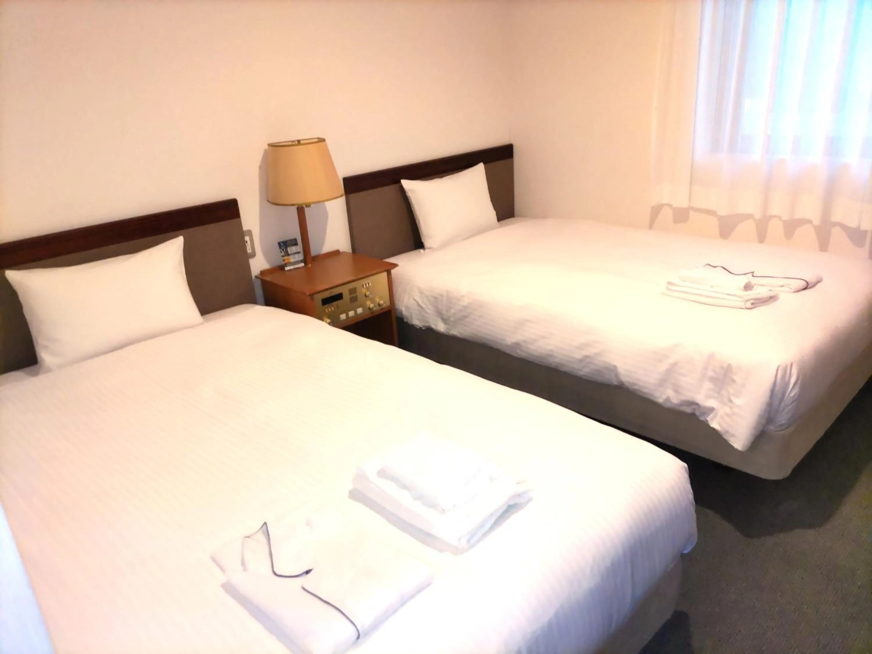 Twin Room - Smoking in Hotel Green Selec