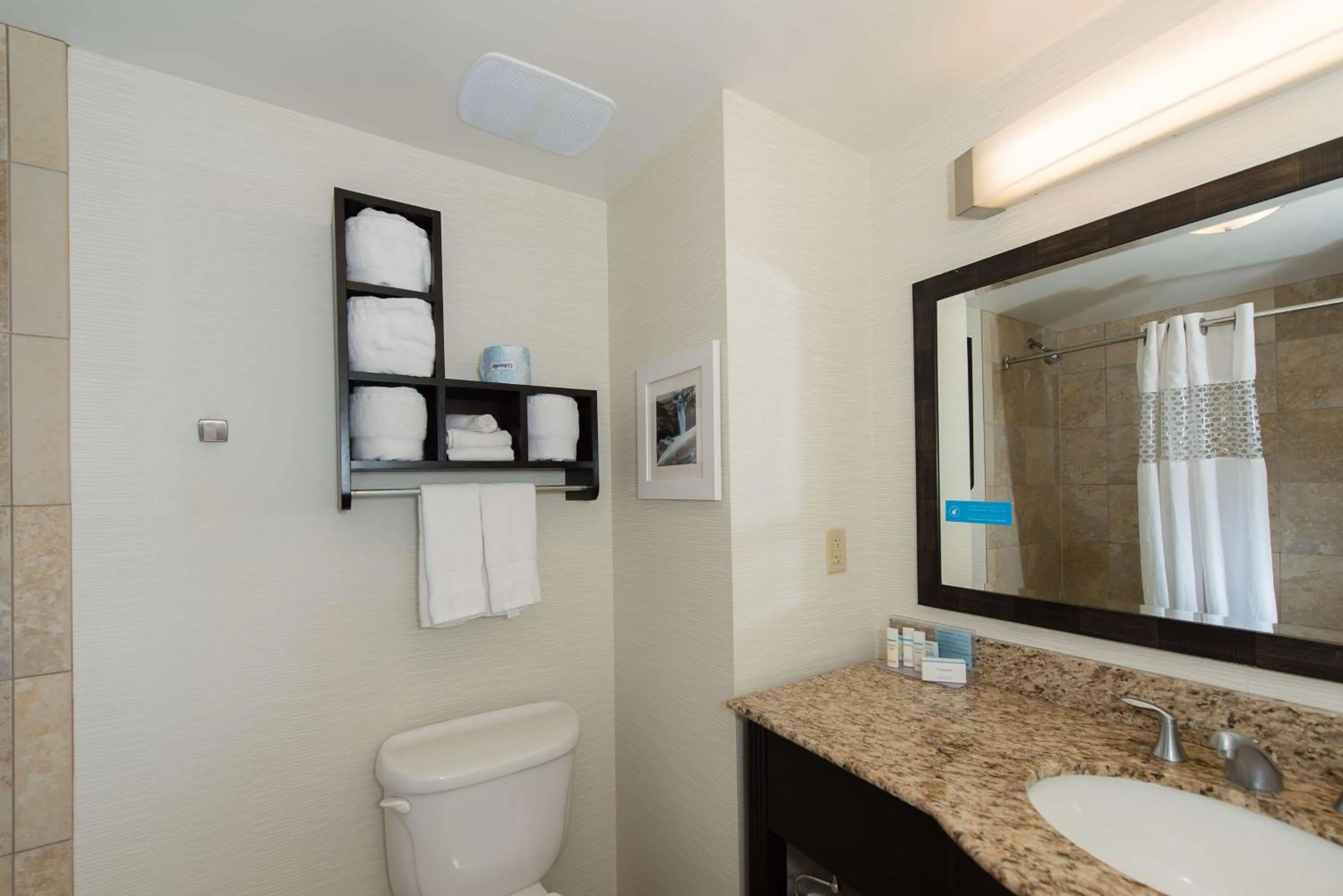 King Room - Non-Smoking in Hampton Inn & Suites Phoenix Chandler Fashion Center