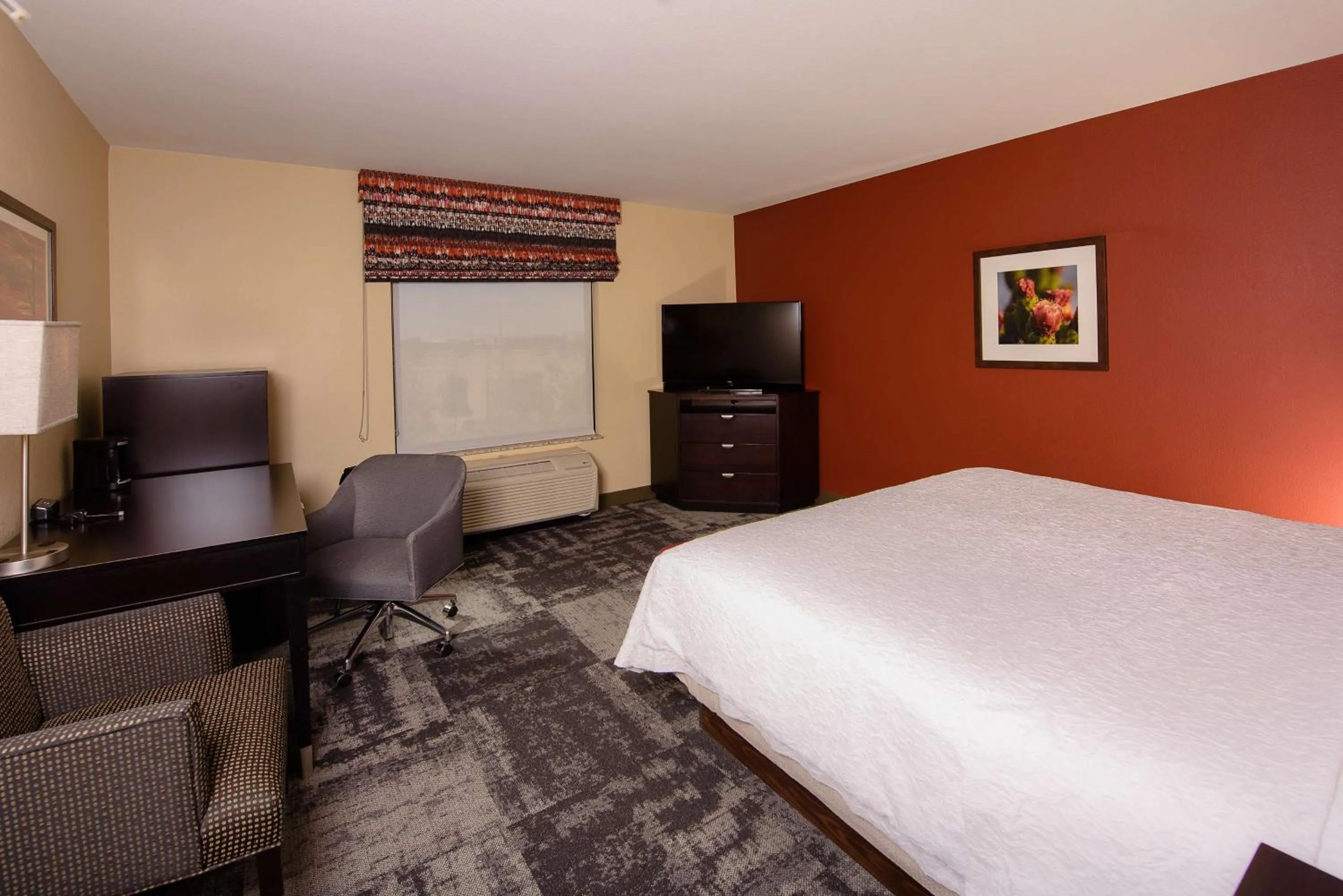 King Room with Accessible Tub - Mobility and Hearing Access/Non-Smoking in Hampton Inn & Suites Phoenix Chandler Fashion Center