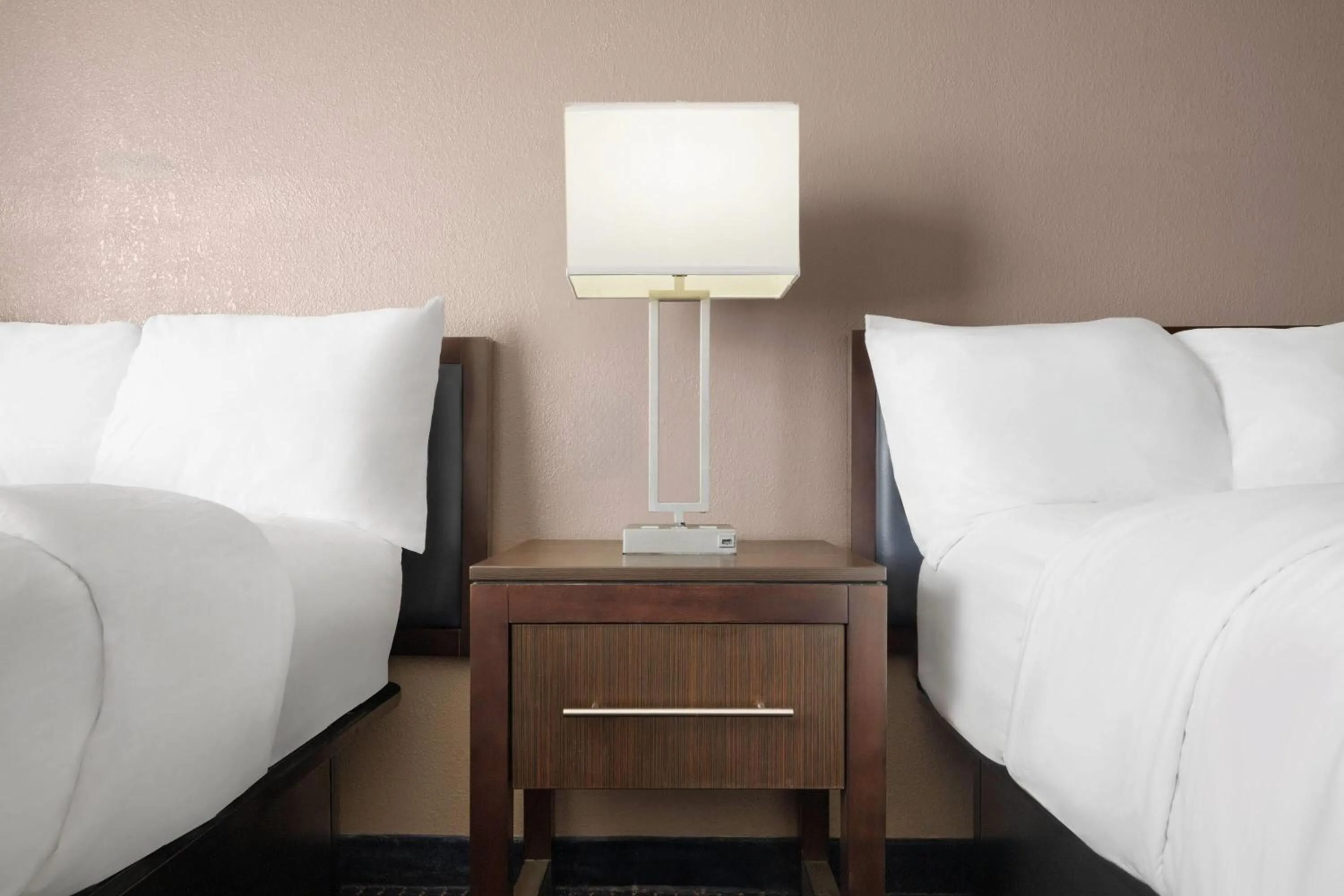 Deluxe Double Room - Disability Access/Non-Smoking in Wingate by Wyndham Augusta Fort Eisenhower