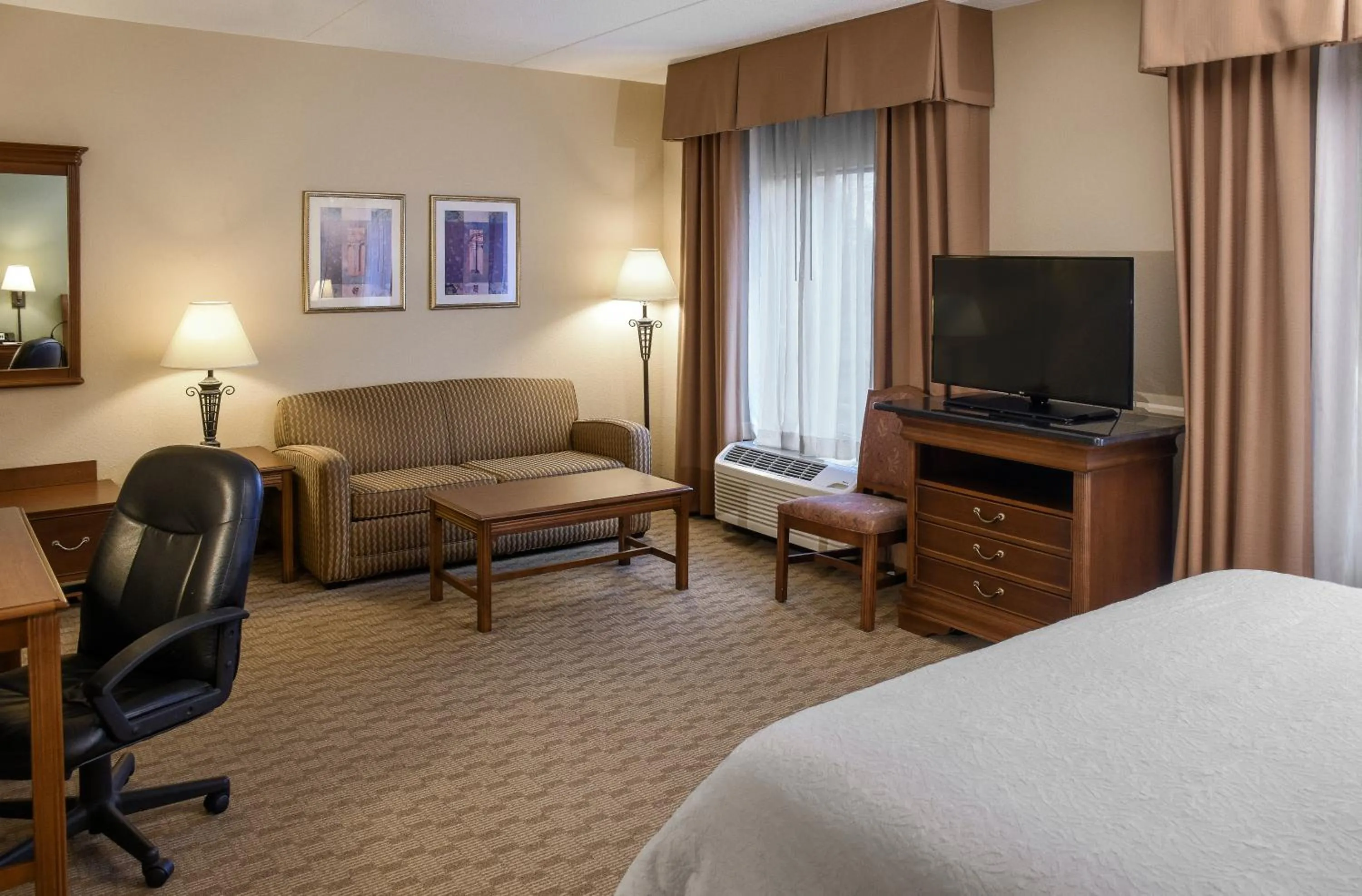 King Studio Suite - Mobility Access/Non-Smoking in Hampton Inn & Suites Youngstown-Canfield