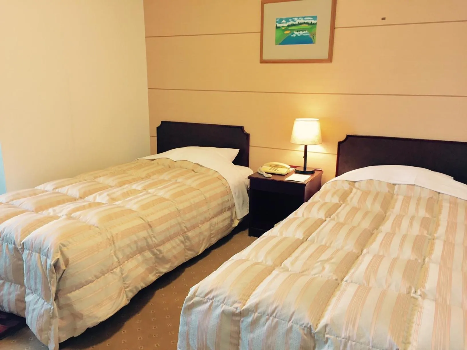 Standard Twin Room - single occupancy in Ohito Hotel