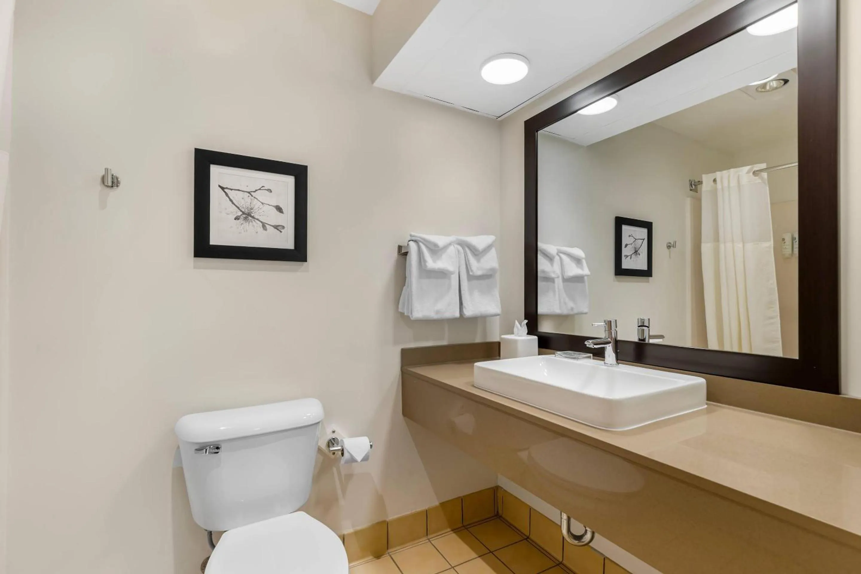 King Room - Non-Smoking in Country Inn & Suites by Radisson, Des Moines West, IA