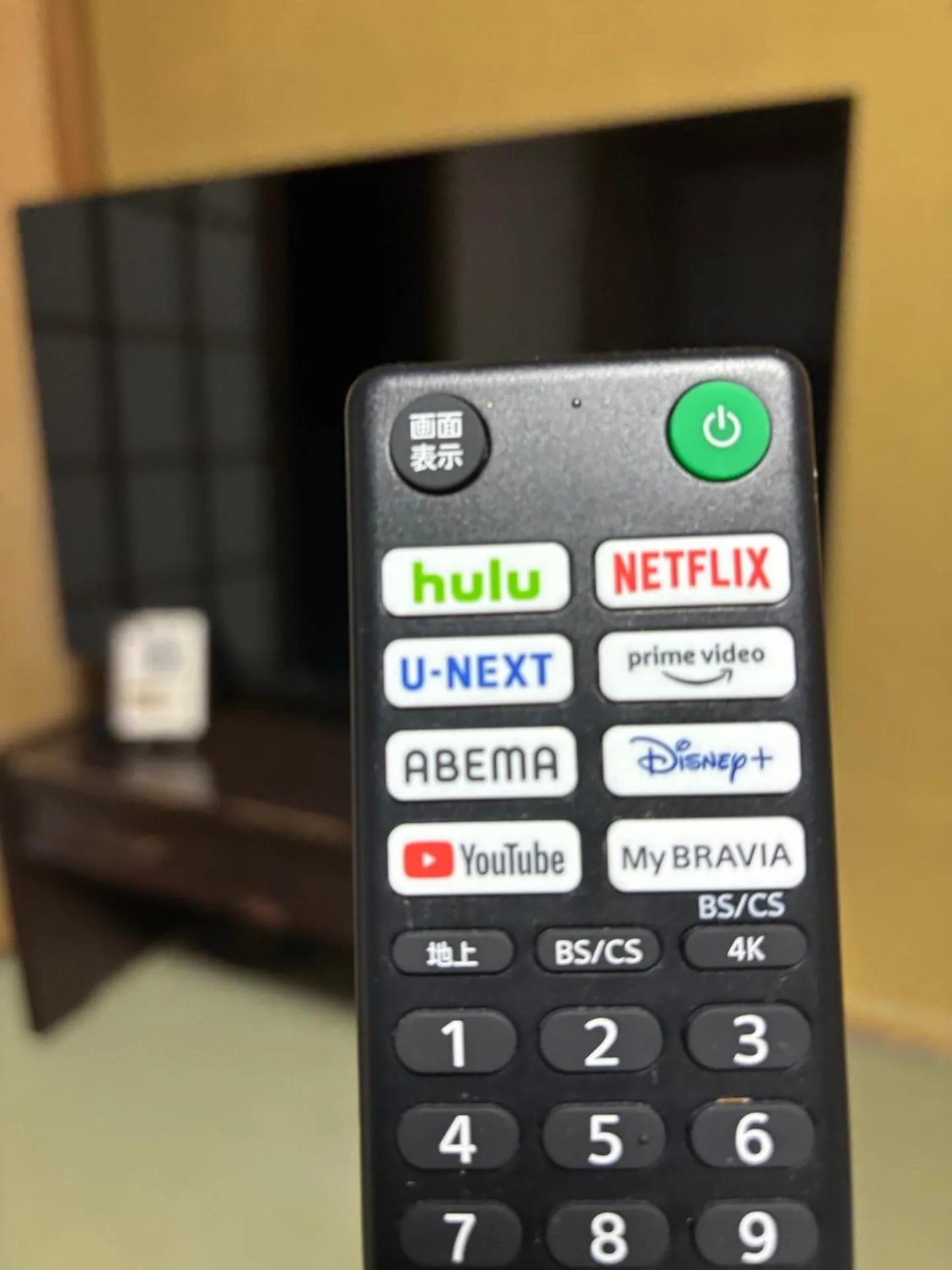 Japanese-Style Standard Twin Room with Shared Bathroom in Ryokan Murayama