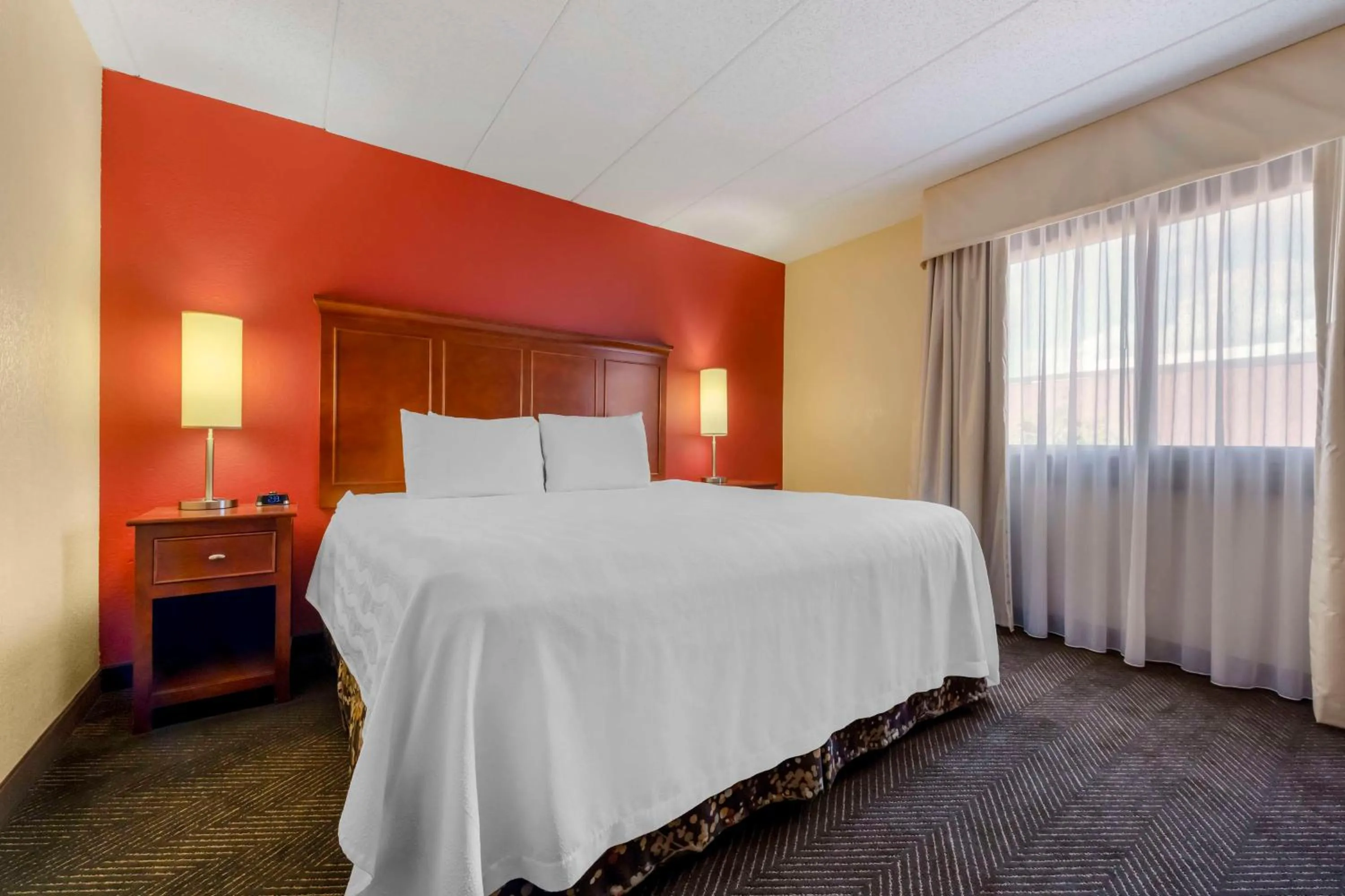 One-Bedroom King Suite with Sofa Bed - Non-Smoking in Best Western Plus St. Paul North/Shoreview