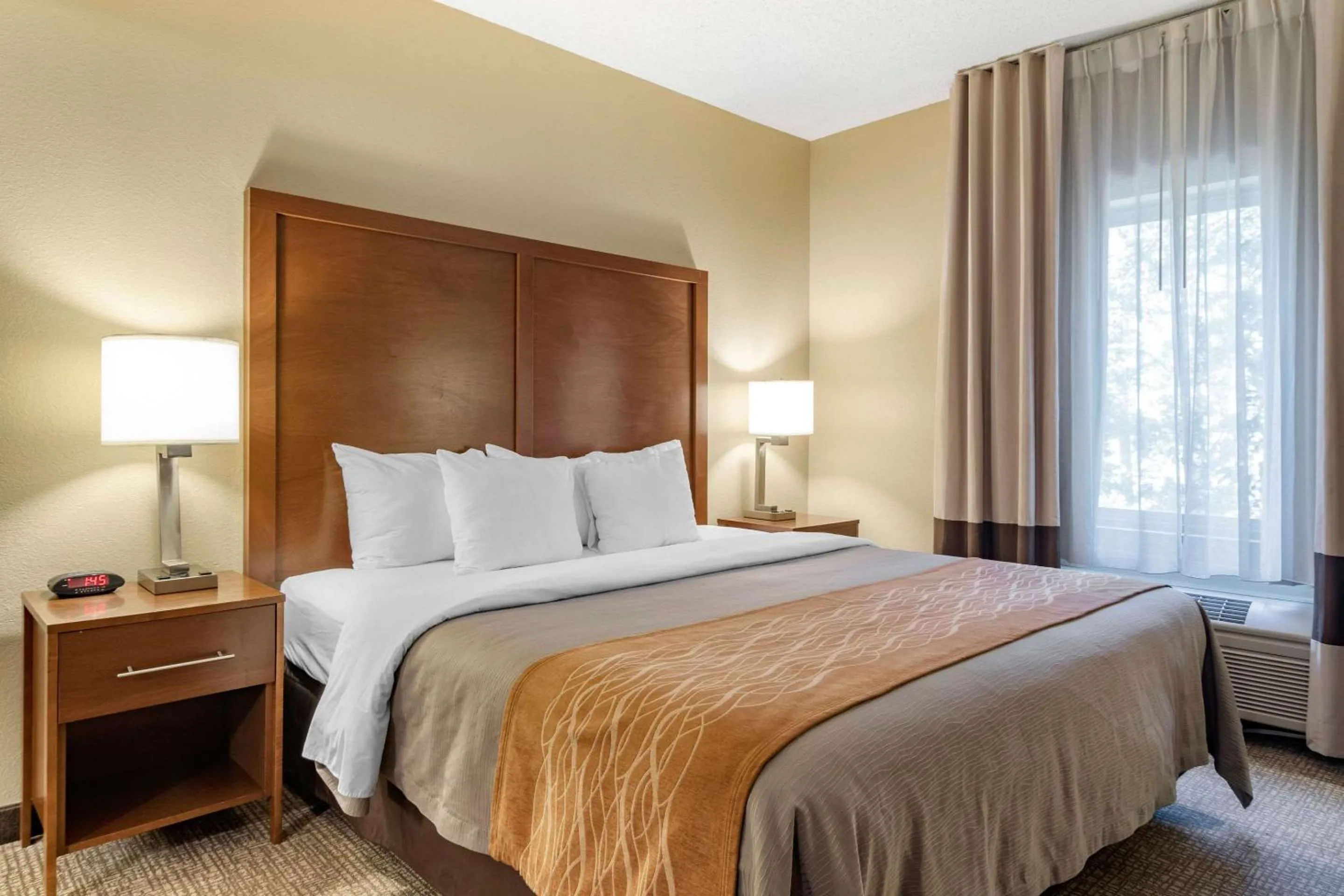 King Room - Accessible/Non-Smoking in Comfort Inn & Suites Suwanee - Sugarloaf