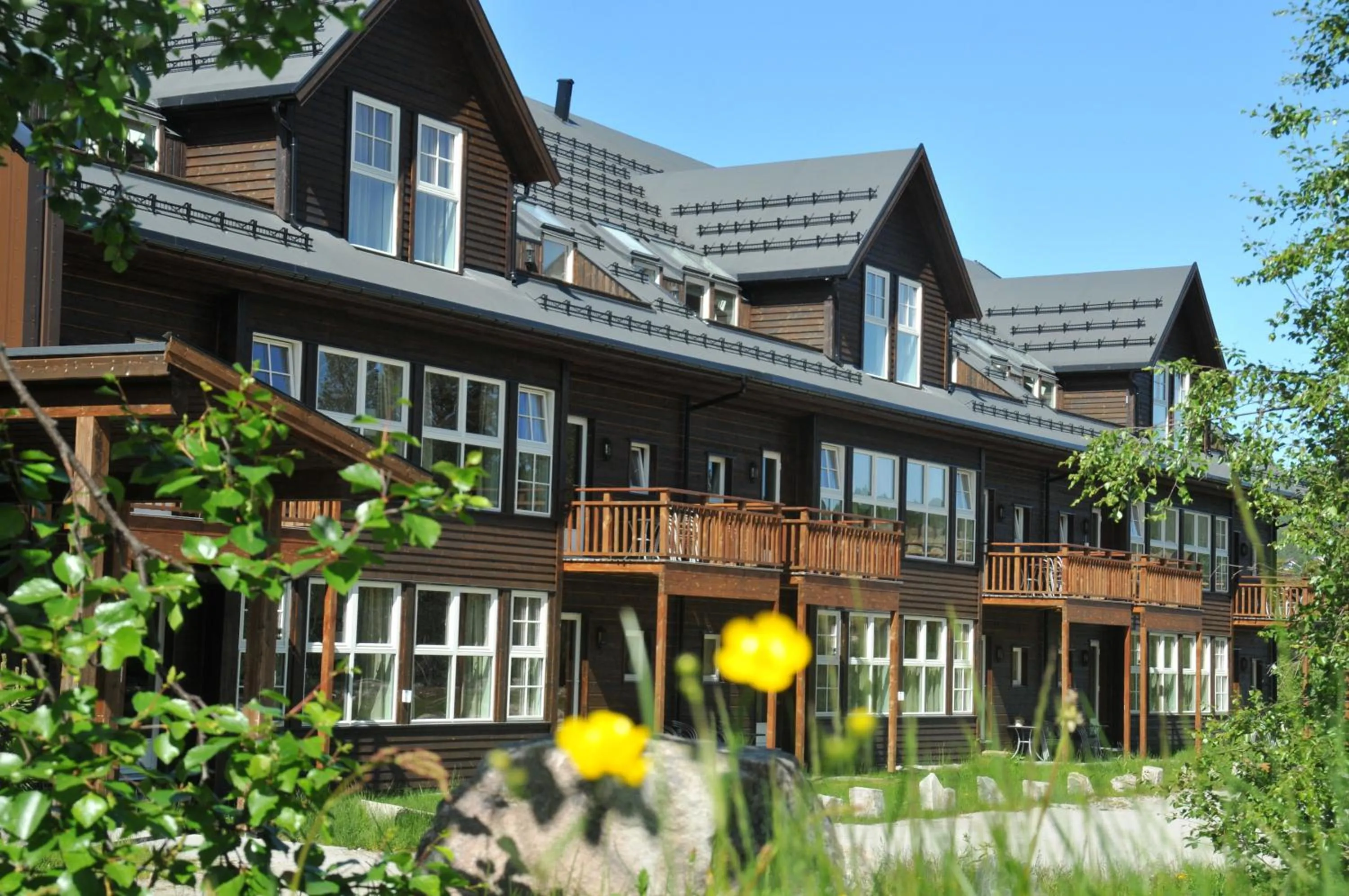 Self catered 4-bedroom apartment in Hovdestøylen