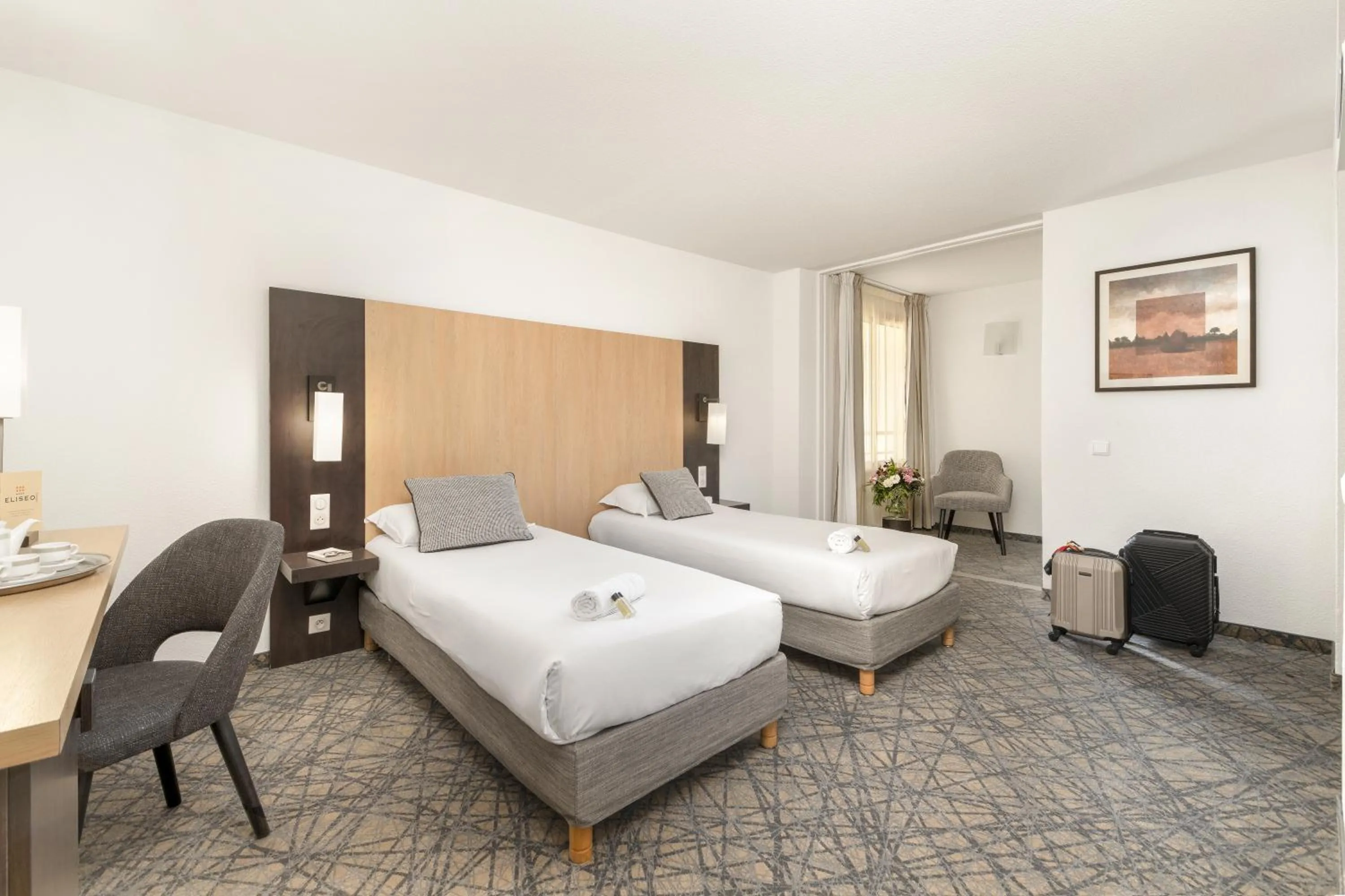 Twin Room in Hôtel Eliseo