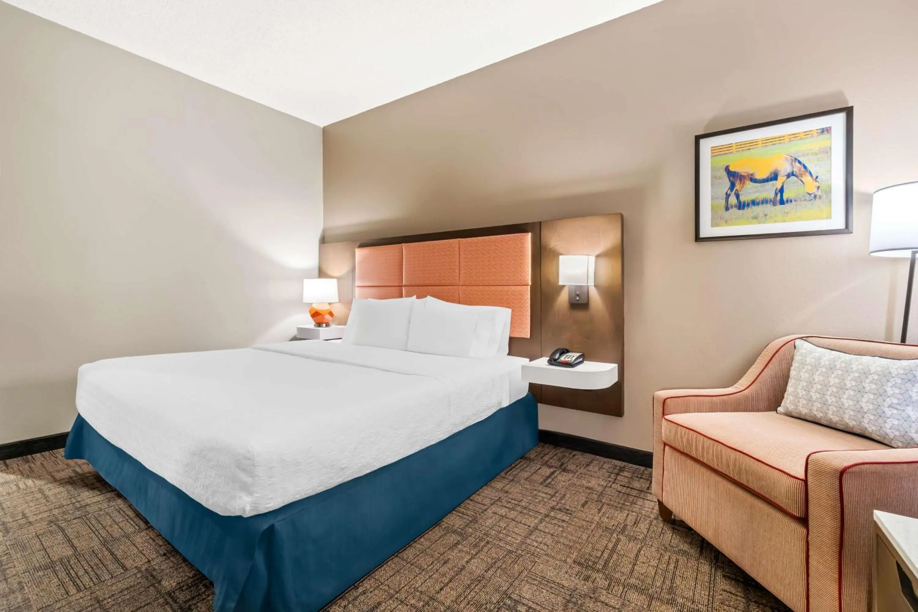 King Room - Mobility Access/Non-Smoking in Hampton Inn Jonesboro