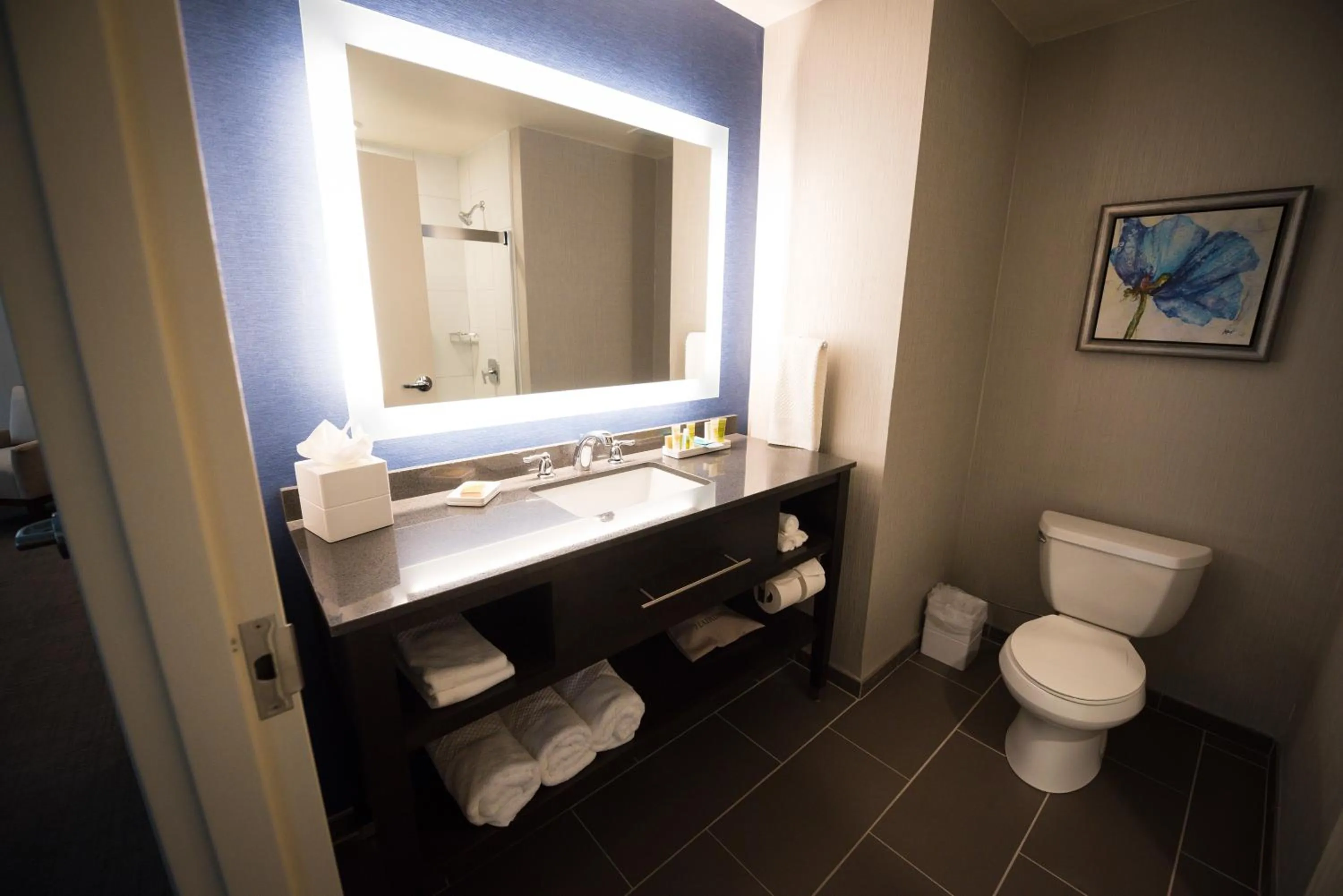 King Room with Sofa Bed in Hilton Scranton & Conference Center