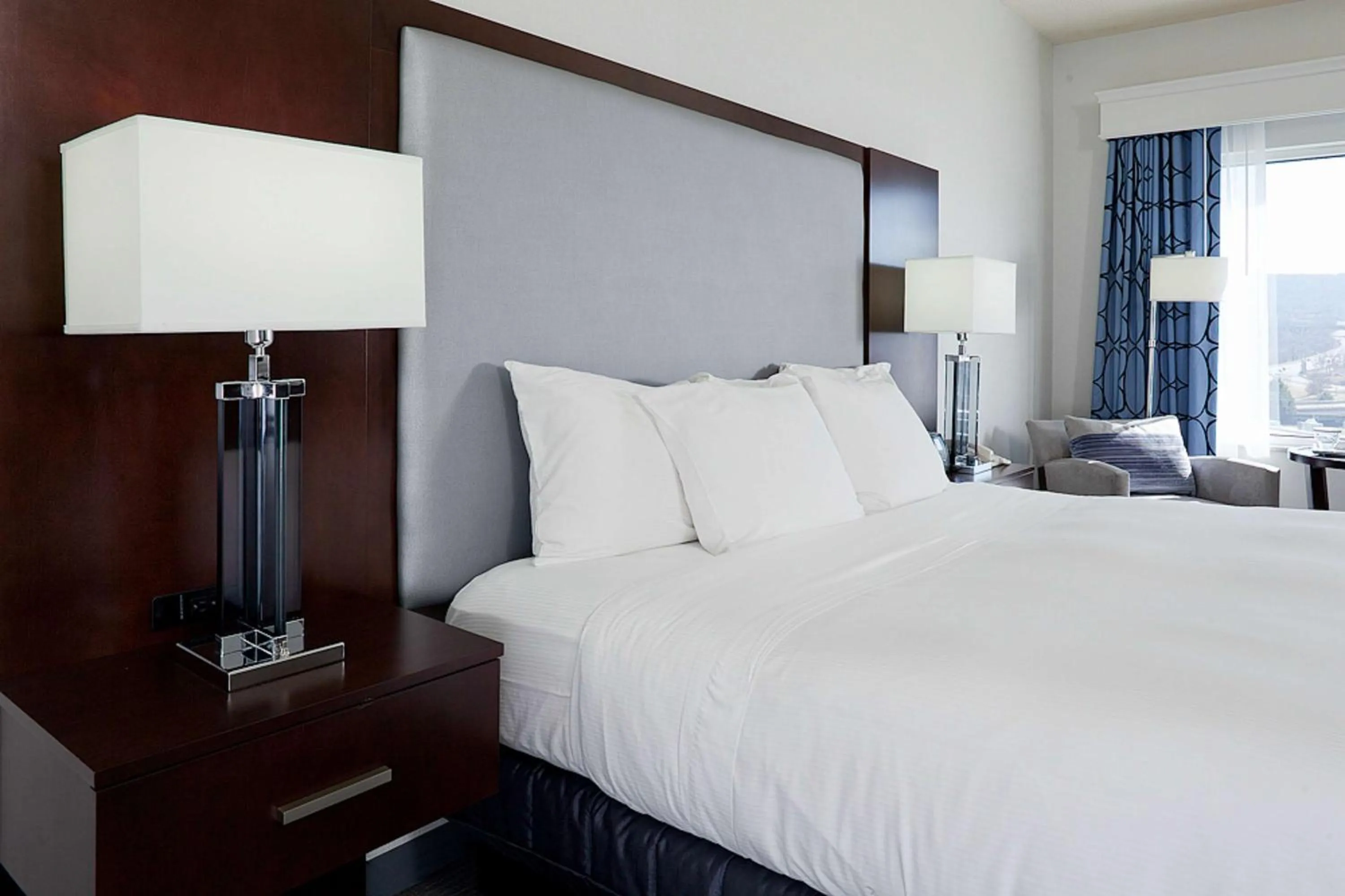 Deluxe King Suite with Roll-In Shower - Disability Access in Hilton Scranton & Conference Center