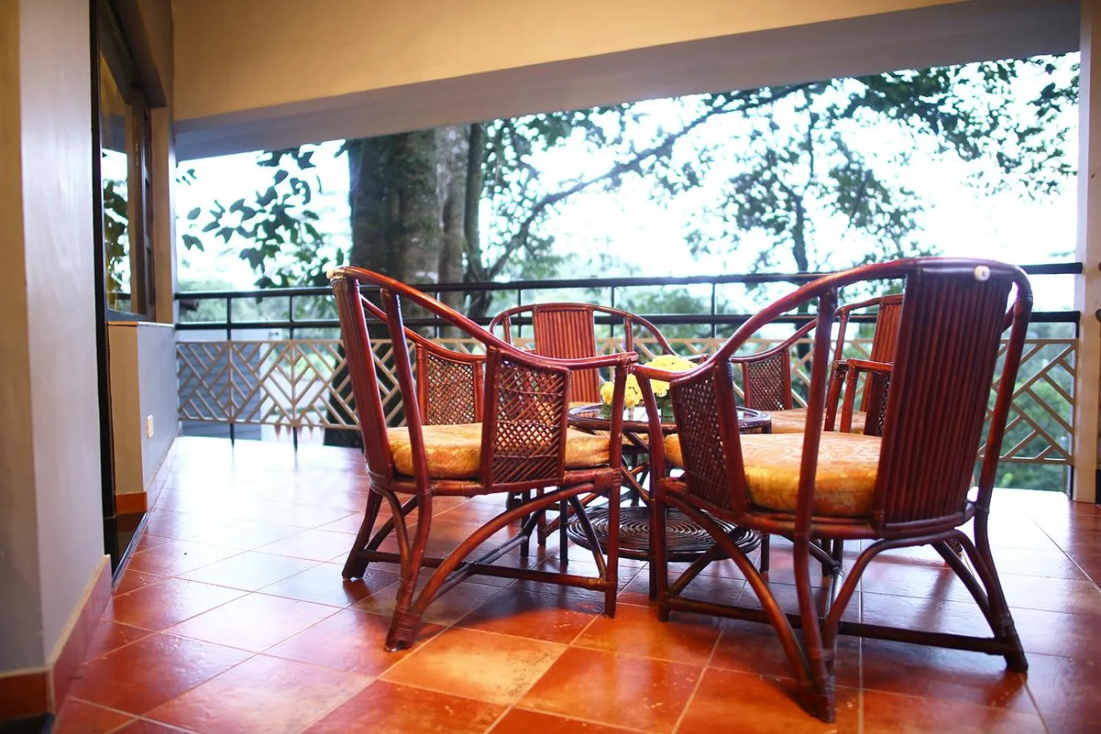 Saffron Grand in The Tall Trees