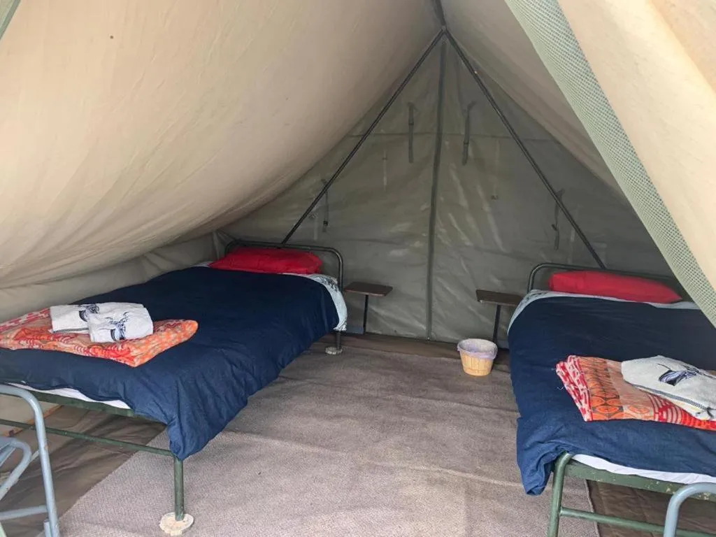 Classic Tent in Horseshoe Game Reserve