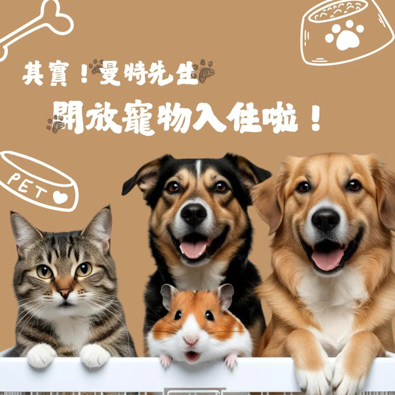 Pet Friendly Double Room in Mr.Mantter