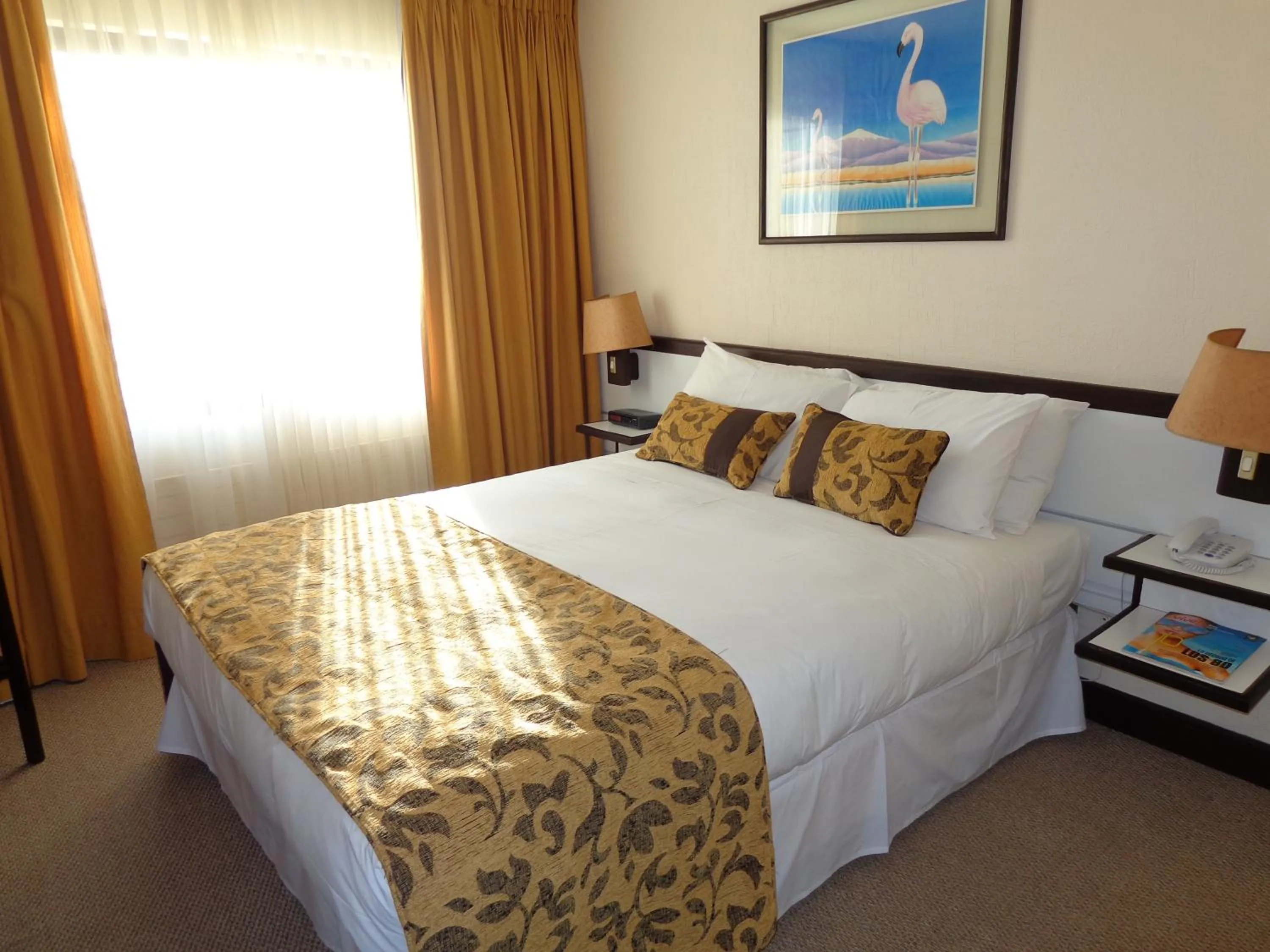 Standard Double Room in Park Hotel Calama
