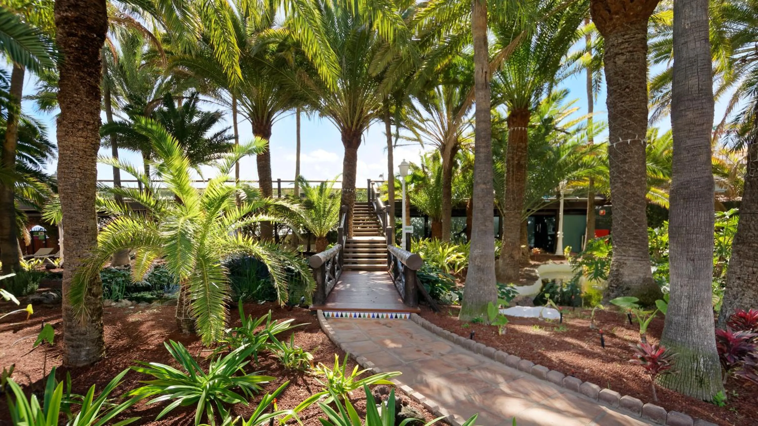 Twin Room (1 Adult + 1 Child) in Hotel Parque Tropical