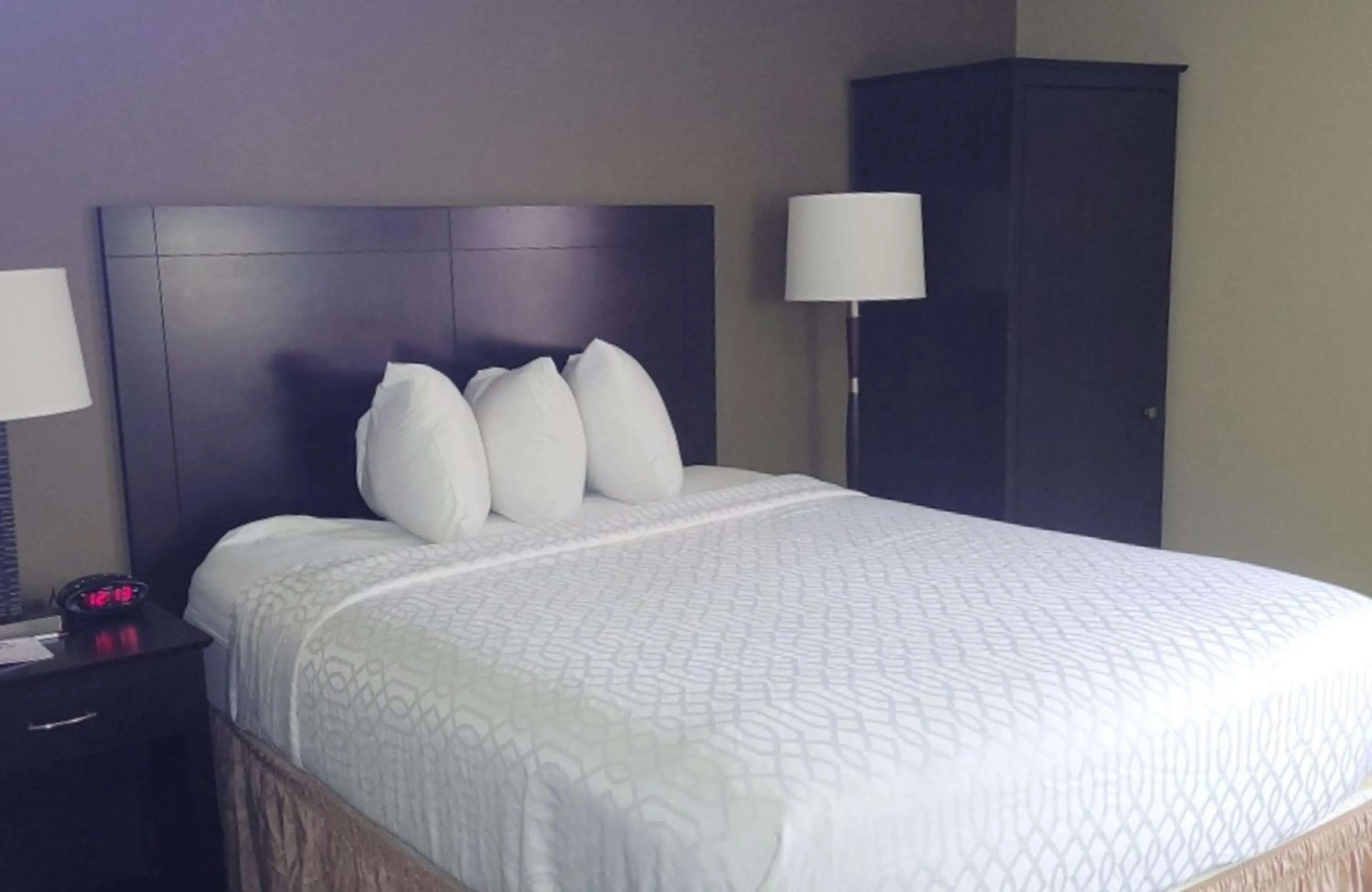 Queen Room - Non Smoking in Best Western Plus Mishawaka Inn