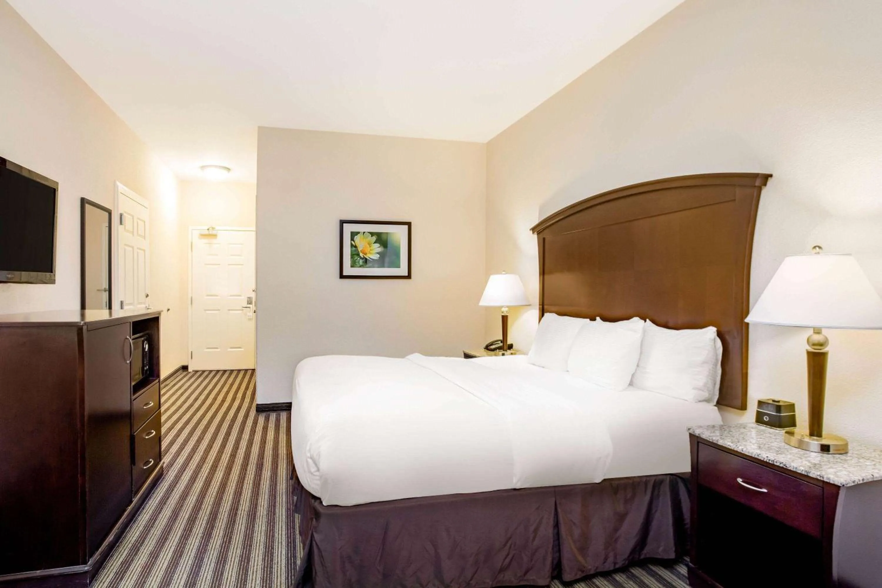 King Room with Roll-in Shower - single occupancy - Mobility Access/Non-Smoking in La Quinta by Wyndham Fowler