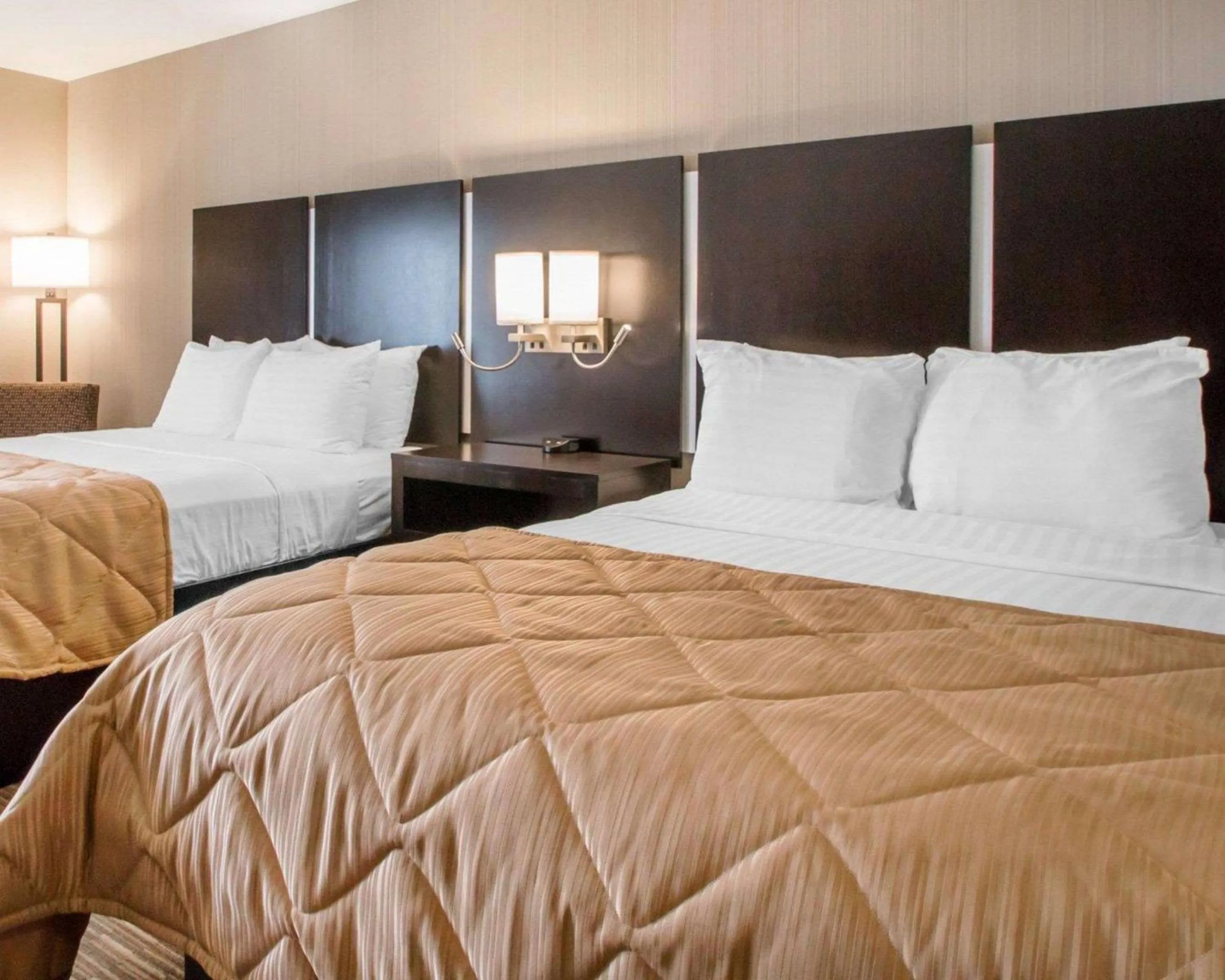 Standard Queen Room with Two Queen Beds in Greenstay Inn & Suites Court View