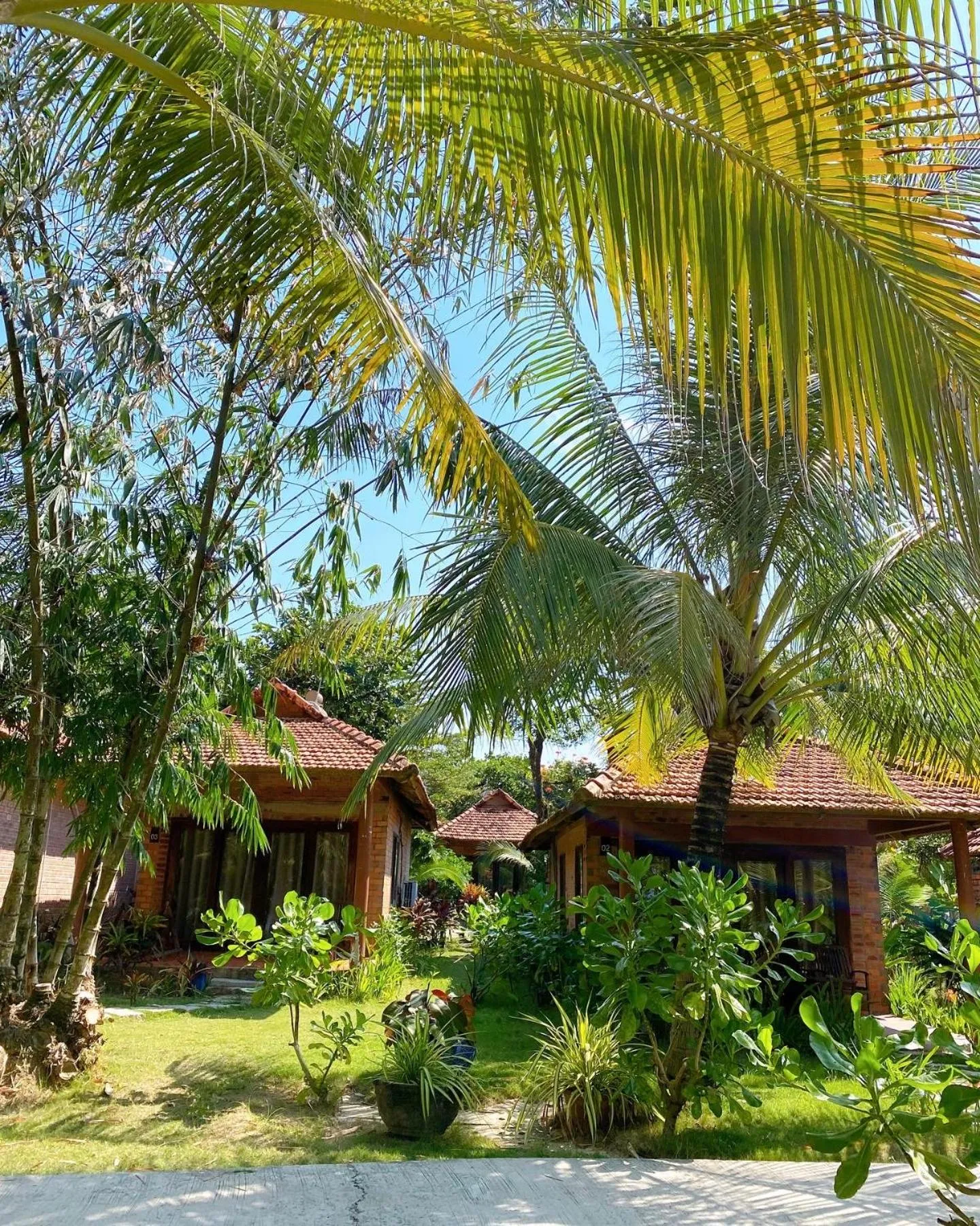 Bungalow with Sea View in Thanh Kieu Beach Resort