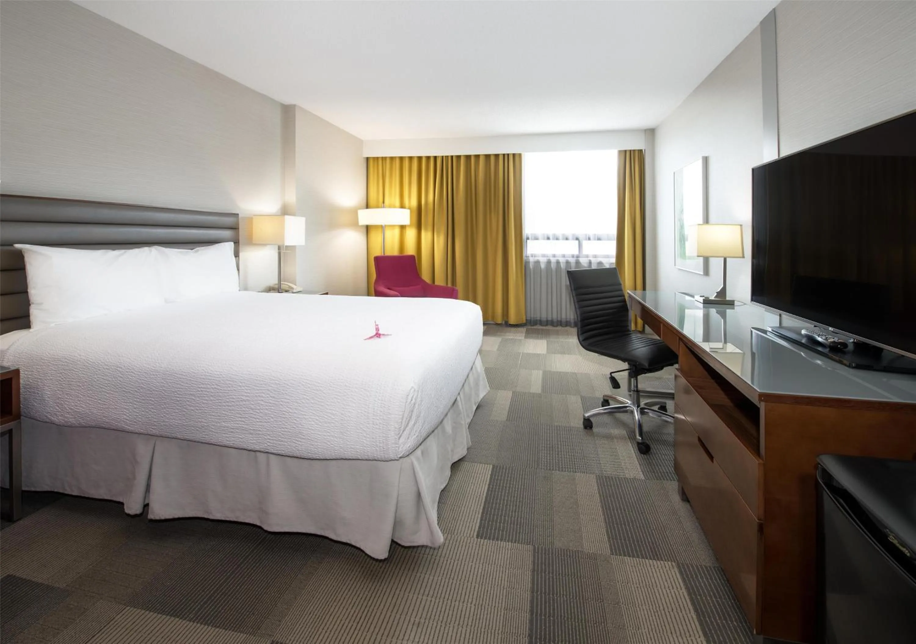 Coast Queen (Non-Pet Friendly)  in Coast Prince George Hotel by APA