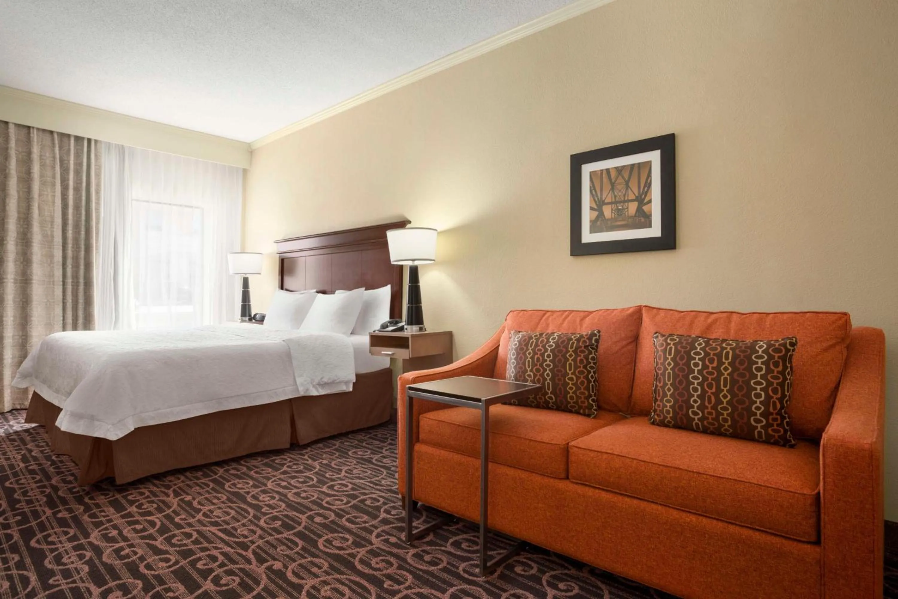 King Room with Whirlpool in Hampton Inn Forrest City