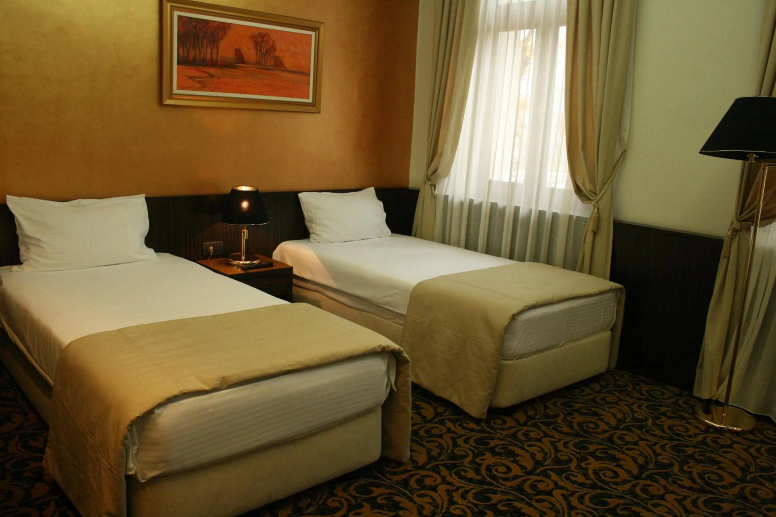 Deluxe Twin Room in Hotel Hercegovina
