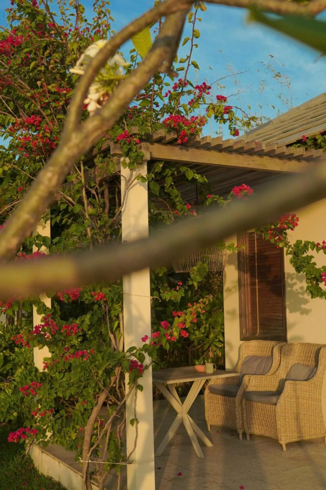 Executive Sea View Double Bungalow in Crown Retreat Quy Nhon Resort