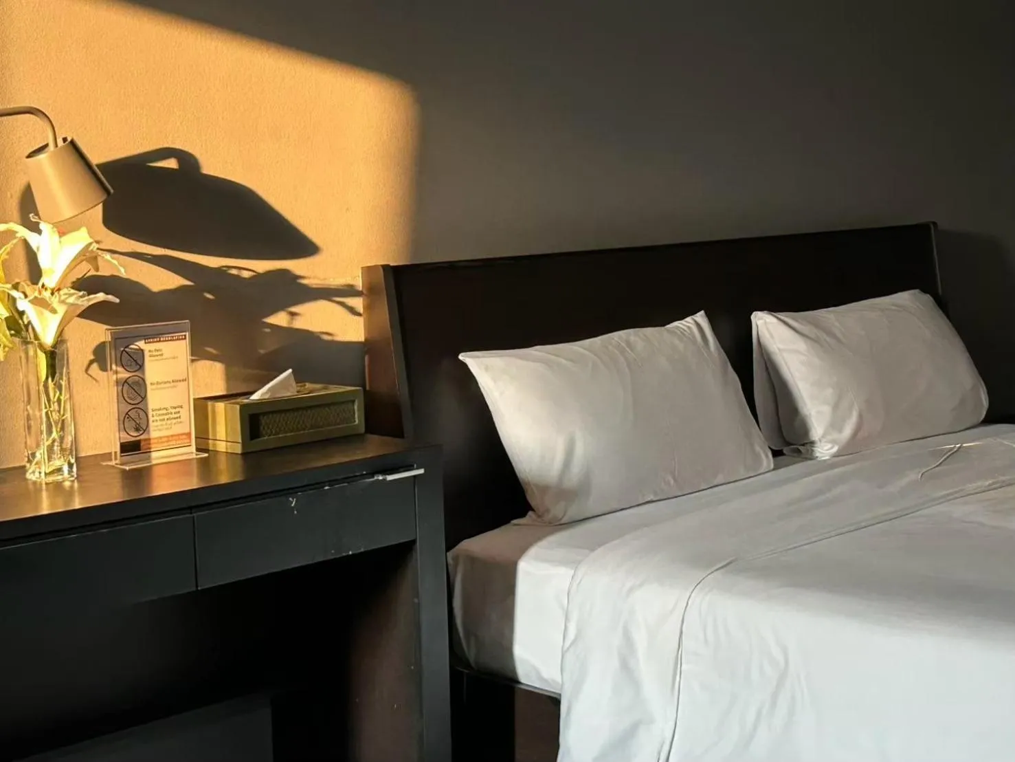 Superior Double Room in Centric Place Hotel