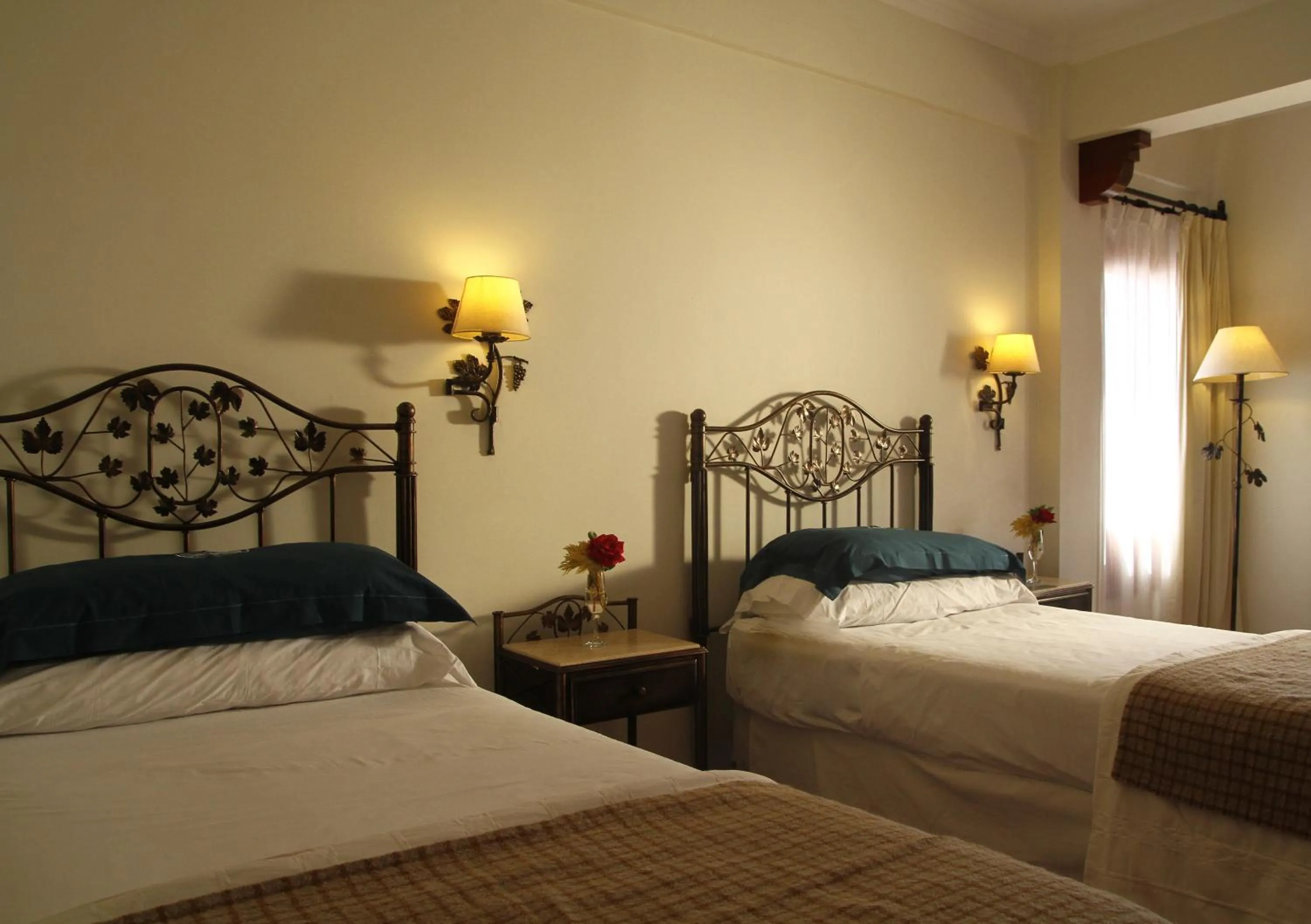 Superior Single Room in Hotel Asturias