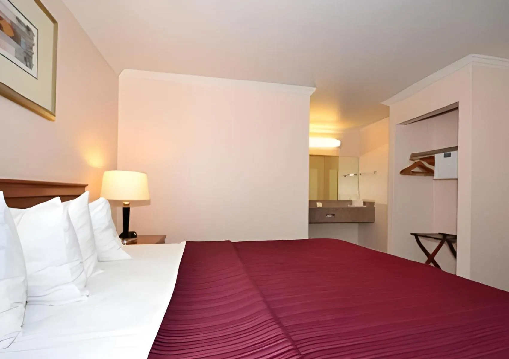 King Room in Quality Inn & Suites Gilroy