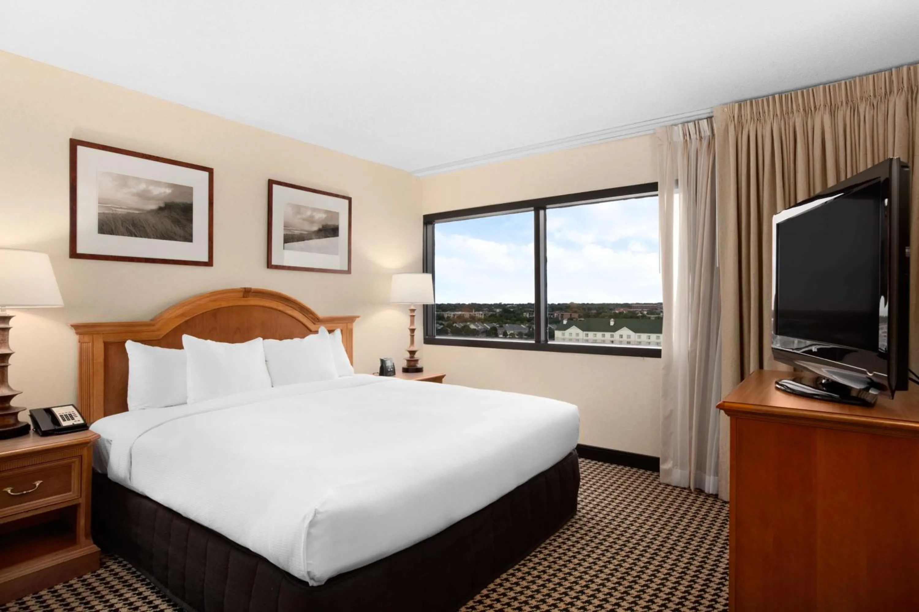 One-Bedroom King Suite in Hilton Suites Chicago/Oakbrook Terrace