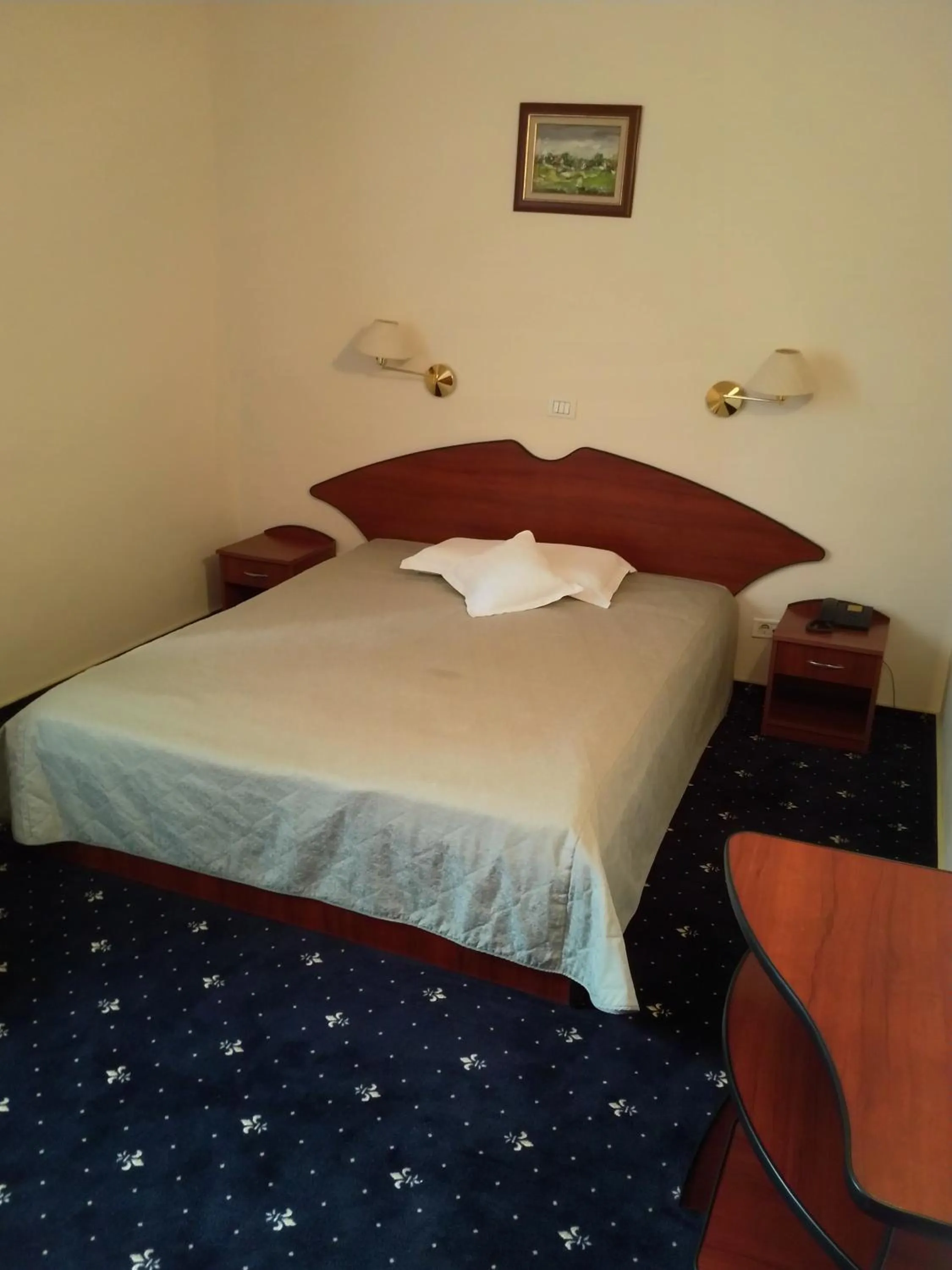 Double or Twin Room - single occupancy in Hotel Egreta