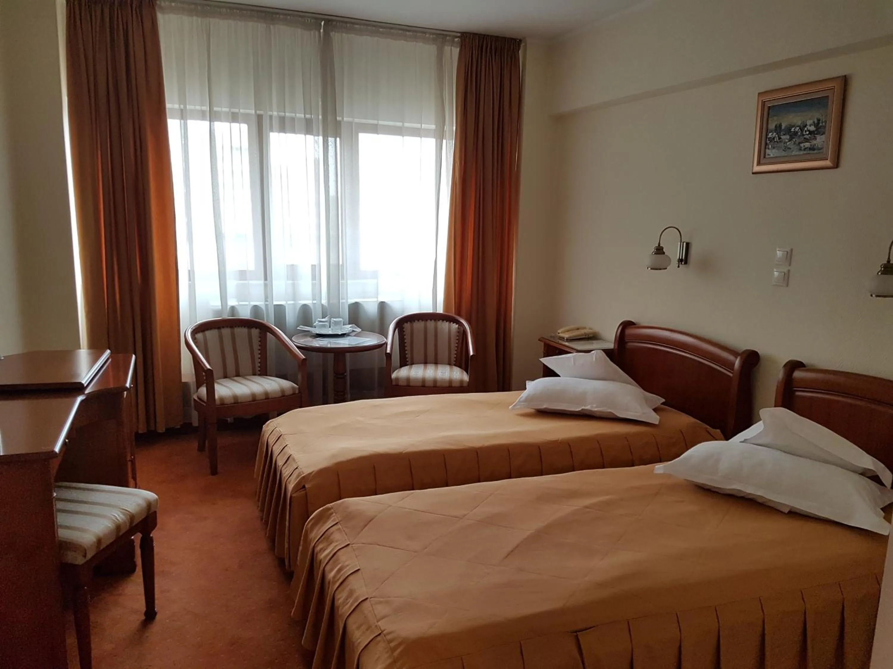 Twin Room with Palace View - single occupancy in Hotel Moldova