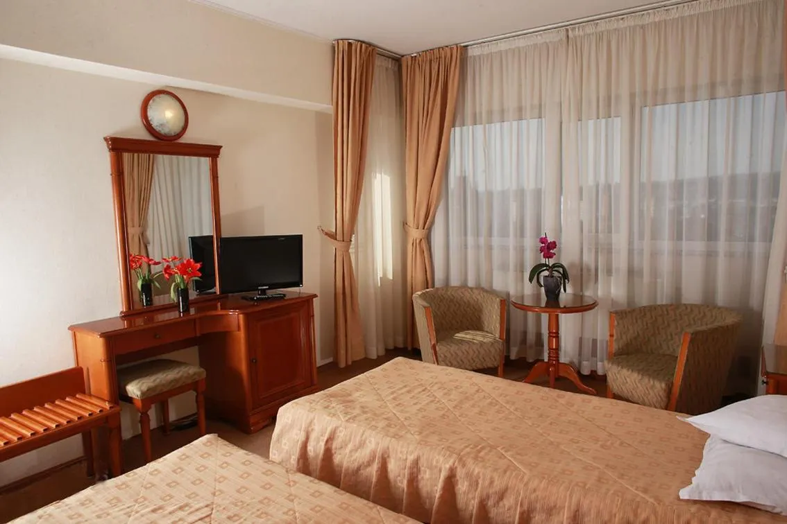 Double Room with Palace View - single occupancy in Hotel Moldova