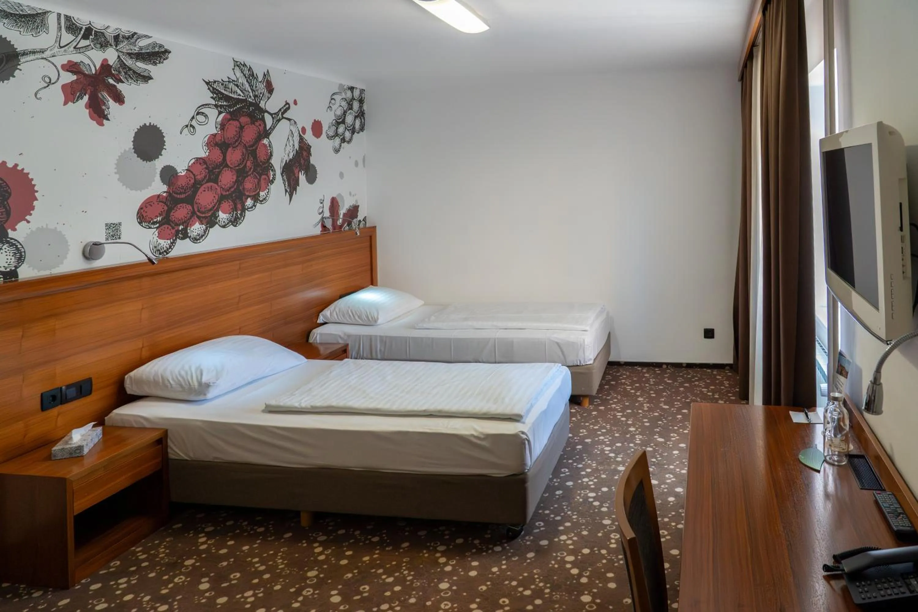Deluxe Double or Twin Room in Hotel Piramida