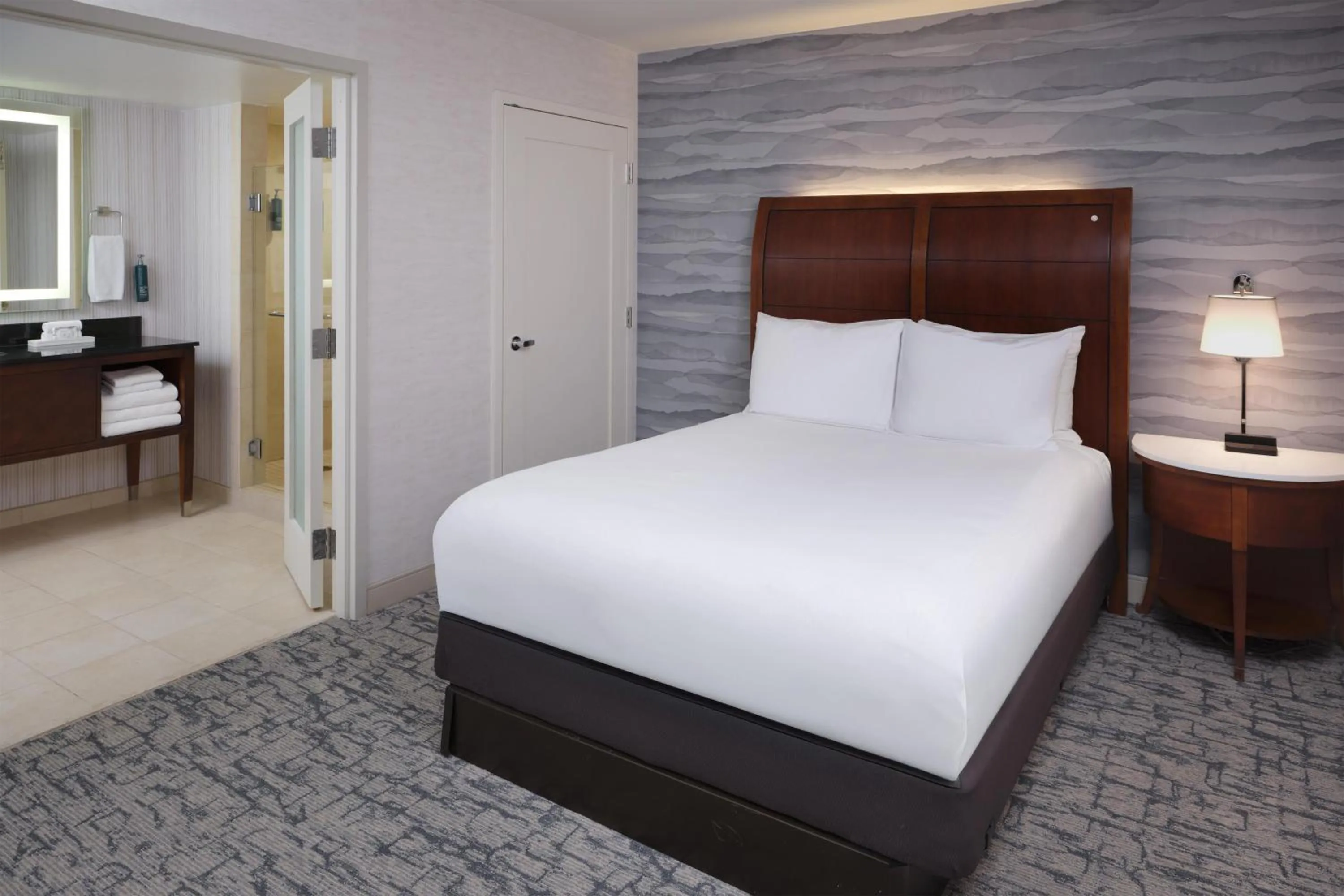 Junior Queen Suite in Hilton Washington DC/Rockville Hotel & Executive Meeting Center