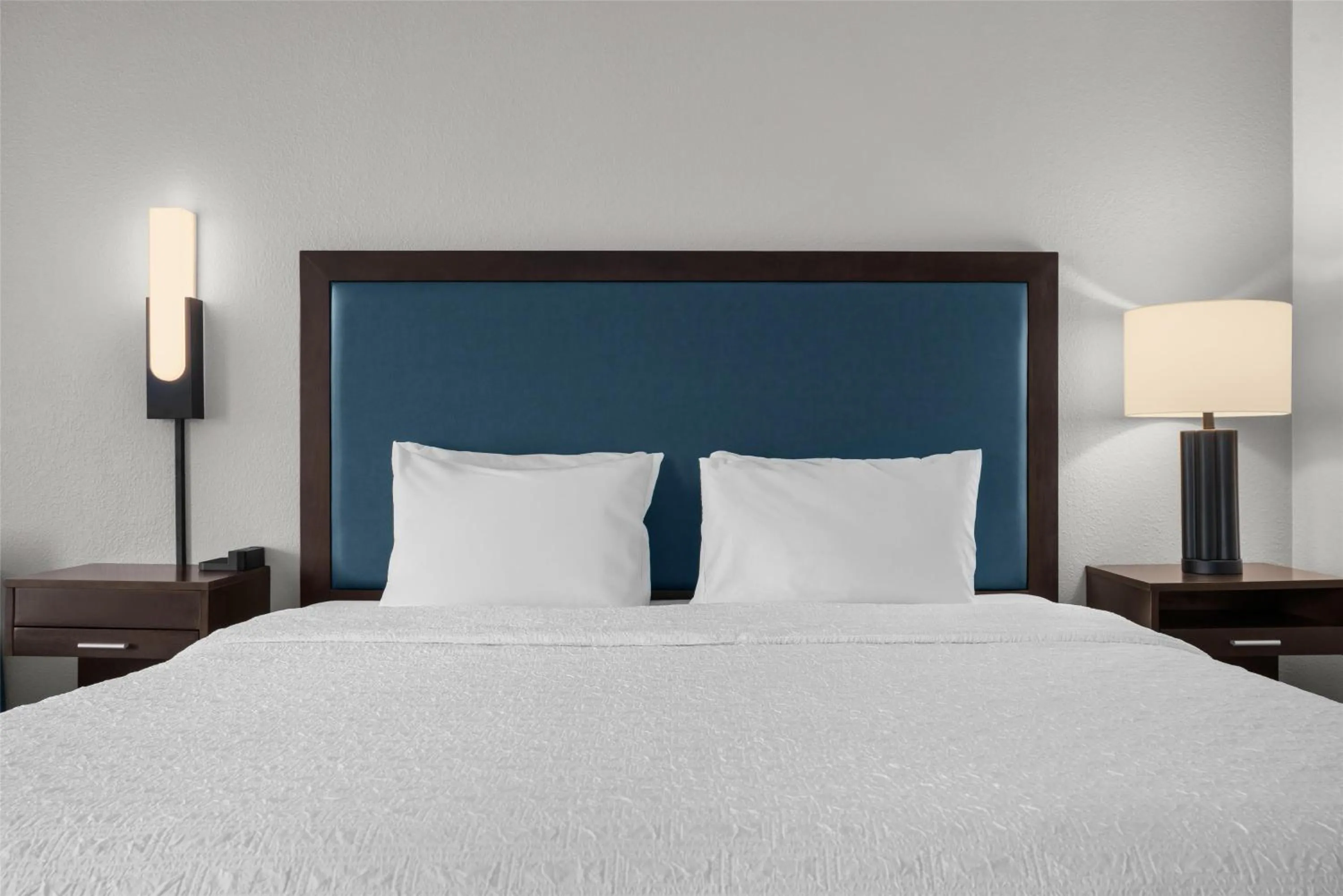 Deluxe King Room with Sofa Bed in Hampton Inn Memphis / Southaven