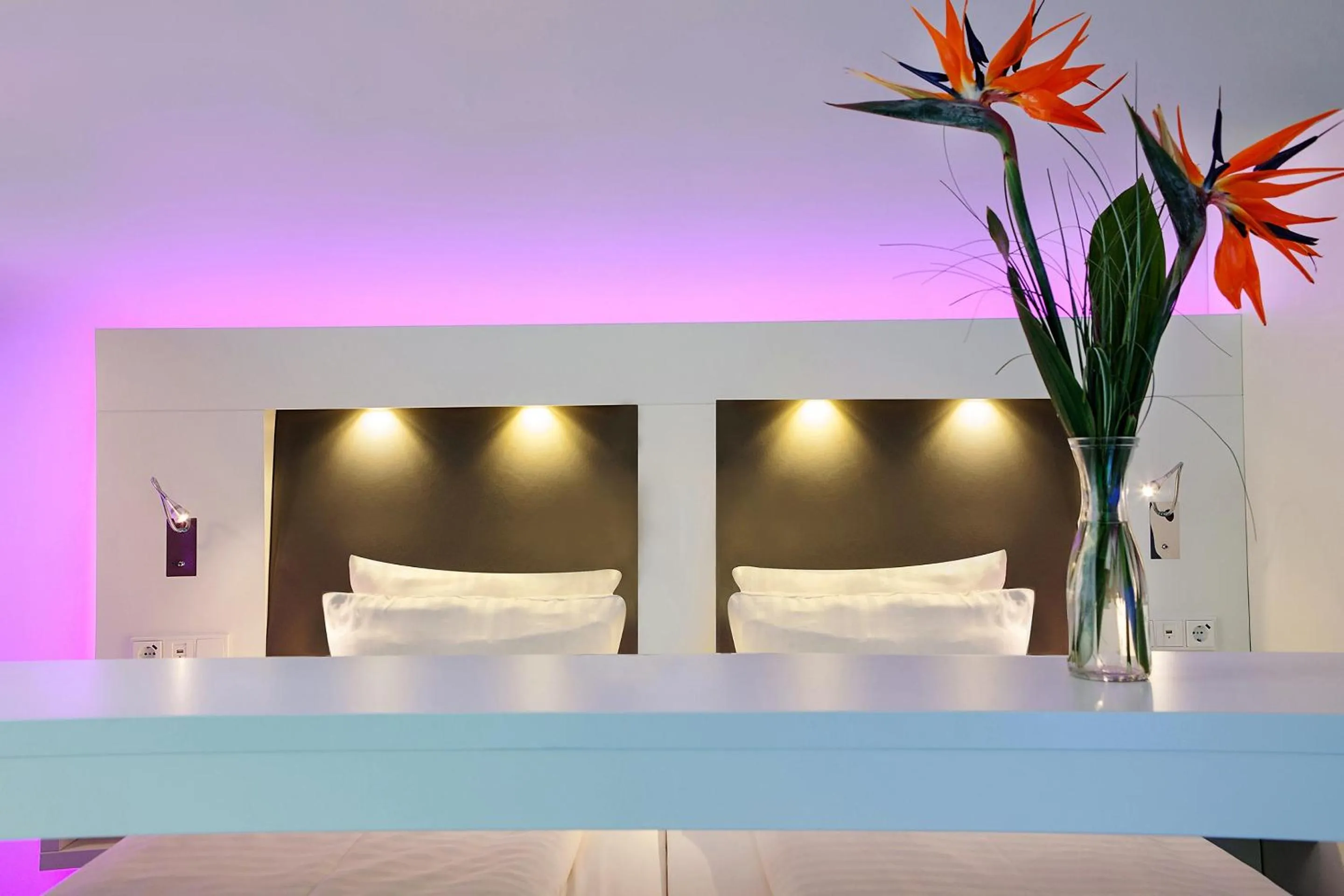 Business Double or Twin Room in Grand Hotel Downtown