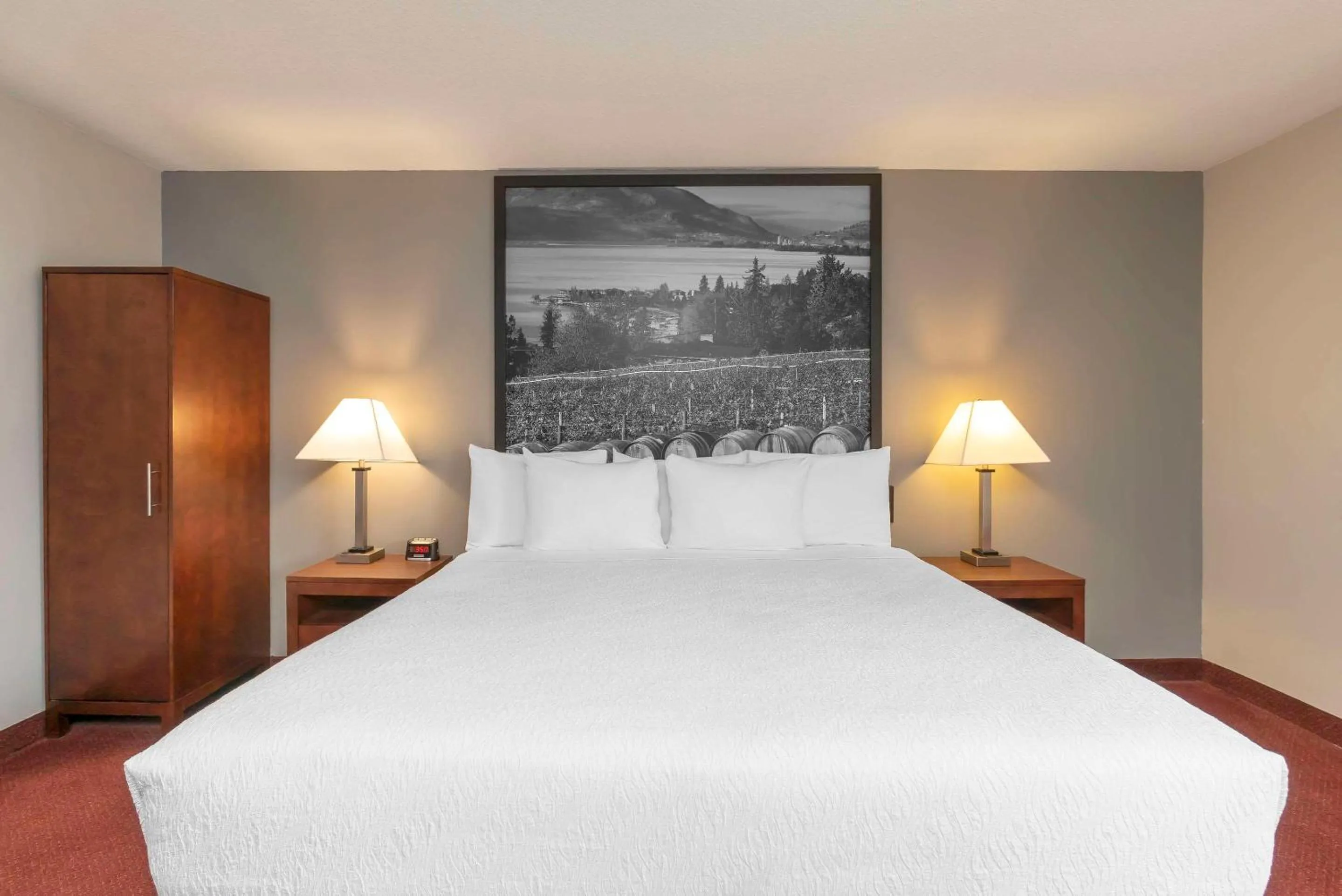 Standard King Room - Non Smoking - Non Pet Friendly in Quality Inn & Suites