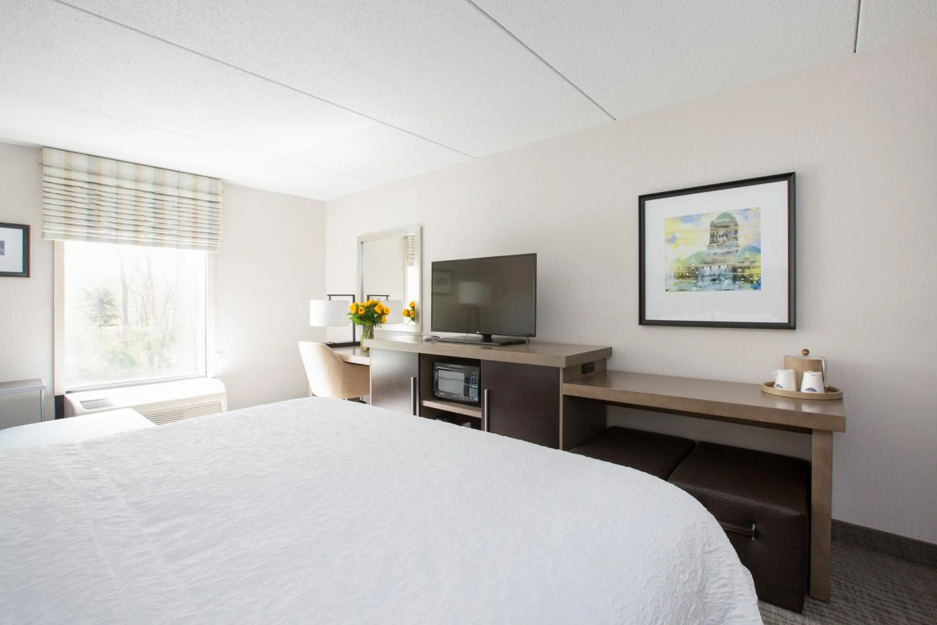 King Room - Hearing Access/Non-Smoking in Hampton Inn Raynham-Taunton