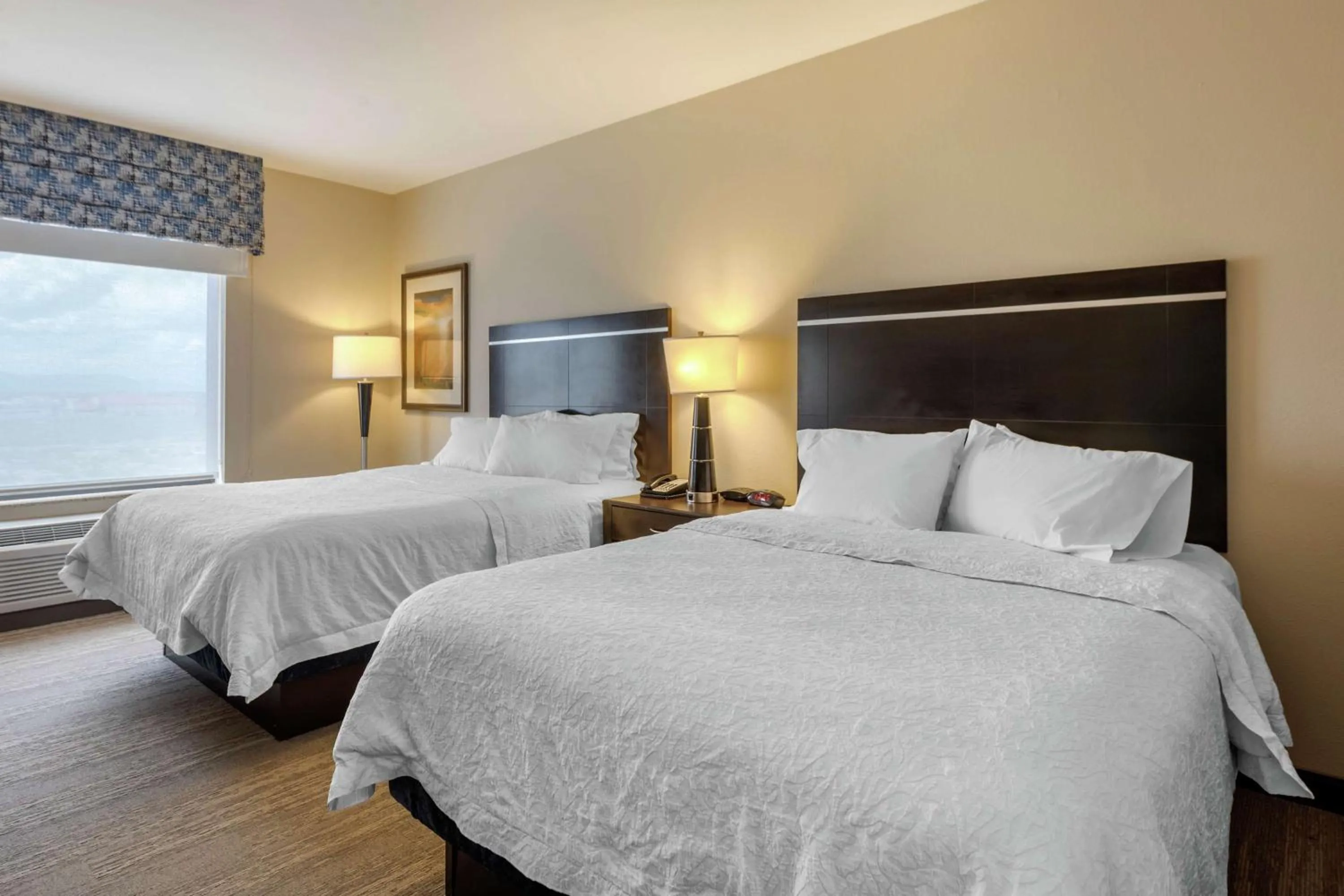 Room with Two Queen Beds - Non-Smoking in Hampton Inn Alamosa